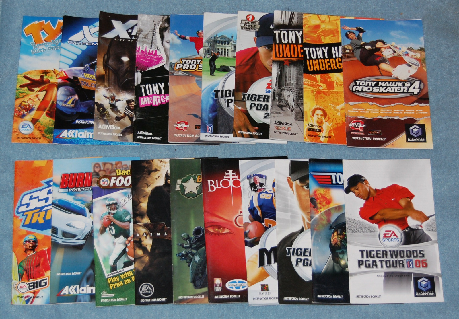 Street Hoops GameCube Manual (Manual Only)