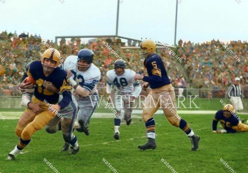 GN591 Don McLLhenny Green Bay Packers 8x10 11x14 16x20 Colorized Photo