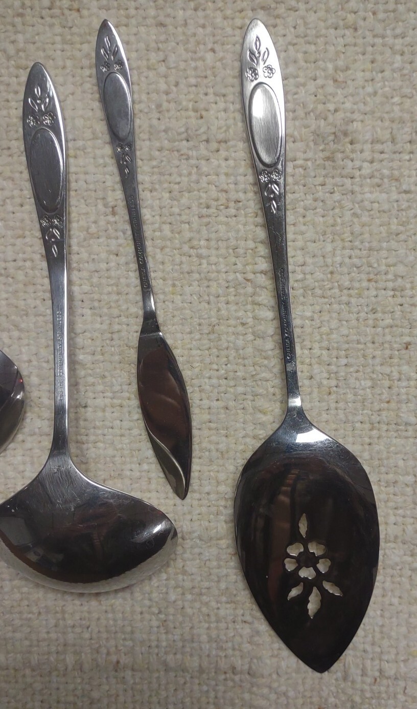 Oneida Community Stainless Flatware Vignette Pattern 8 Different Serving Pieces