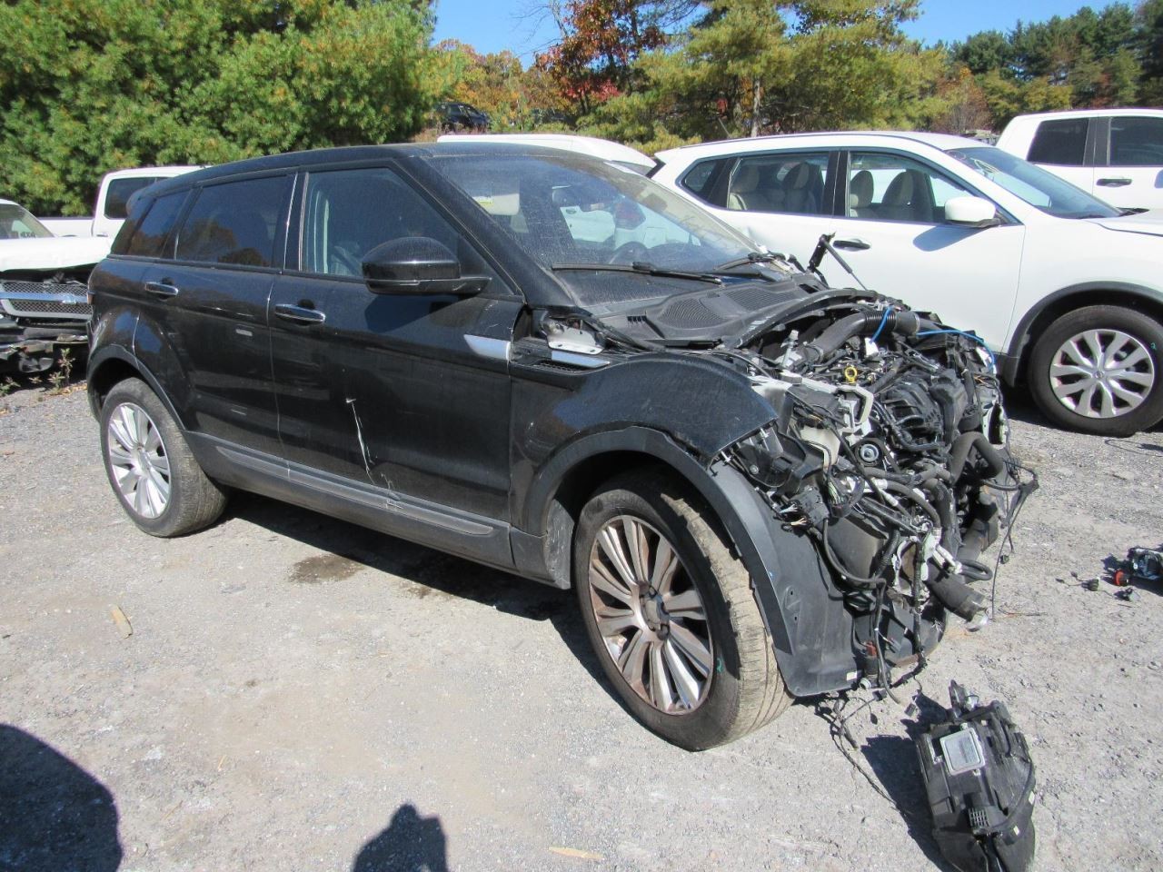 EVOQUE 2016 Glove Box 999334
