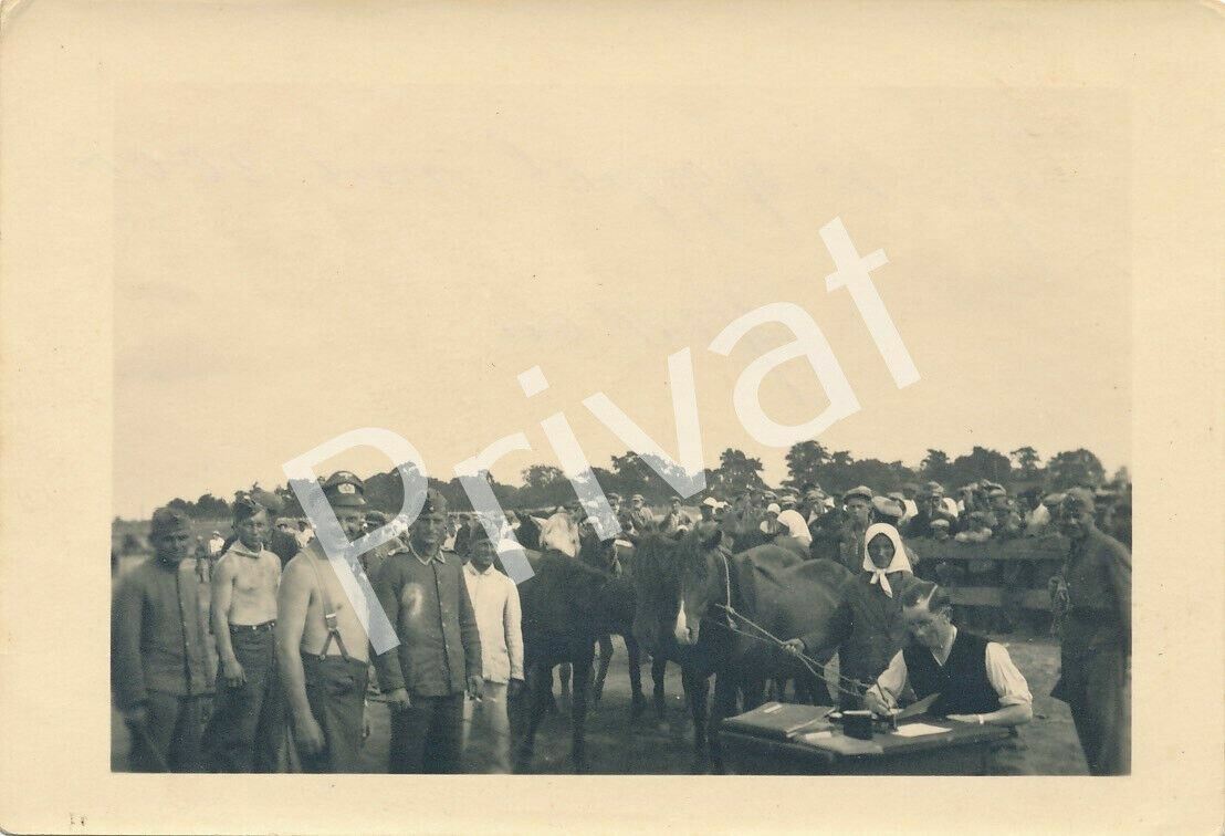 Photo WW II Wehrmacht Soldiers Horses Field Uman Умань Cherkassy H1.24