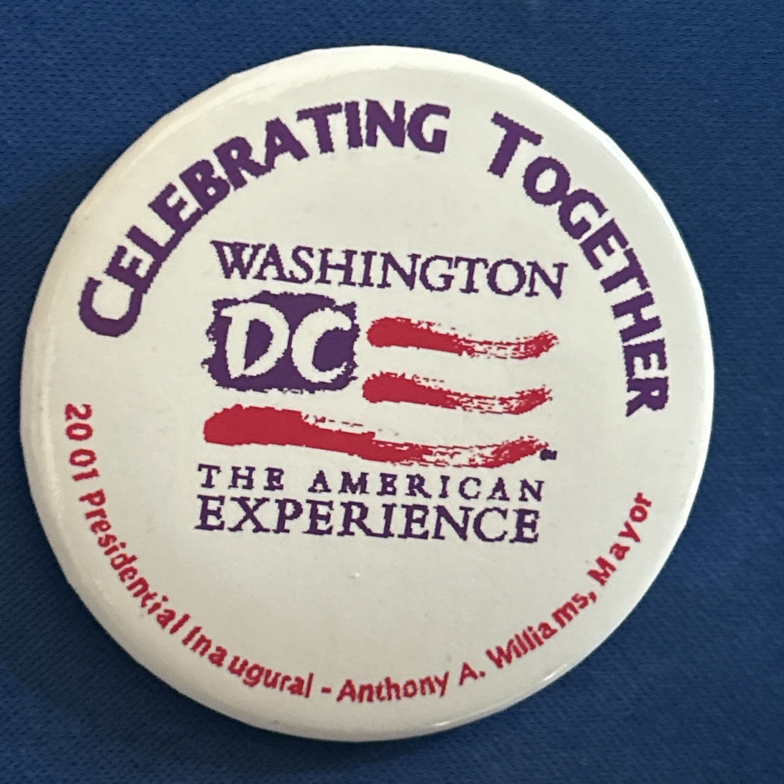 Celebrating Together Washington DC The American Ex 2 1/4” pinback button pin