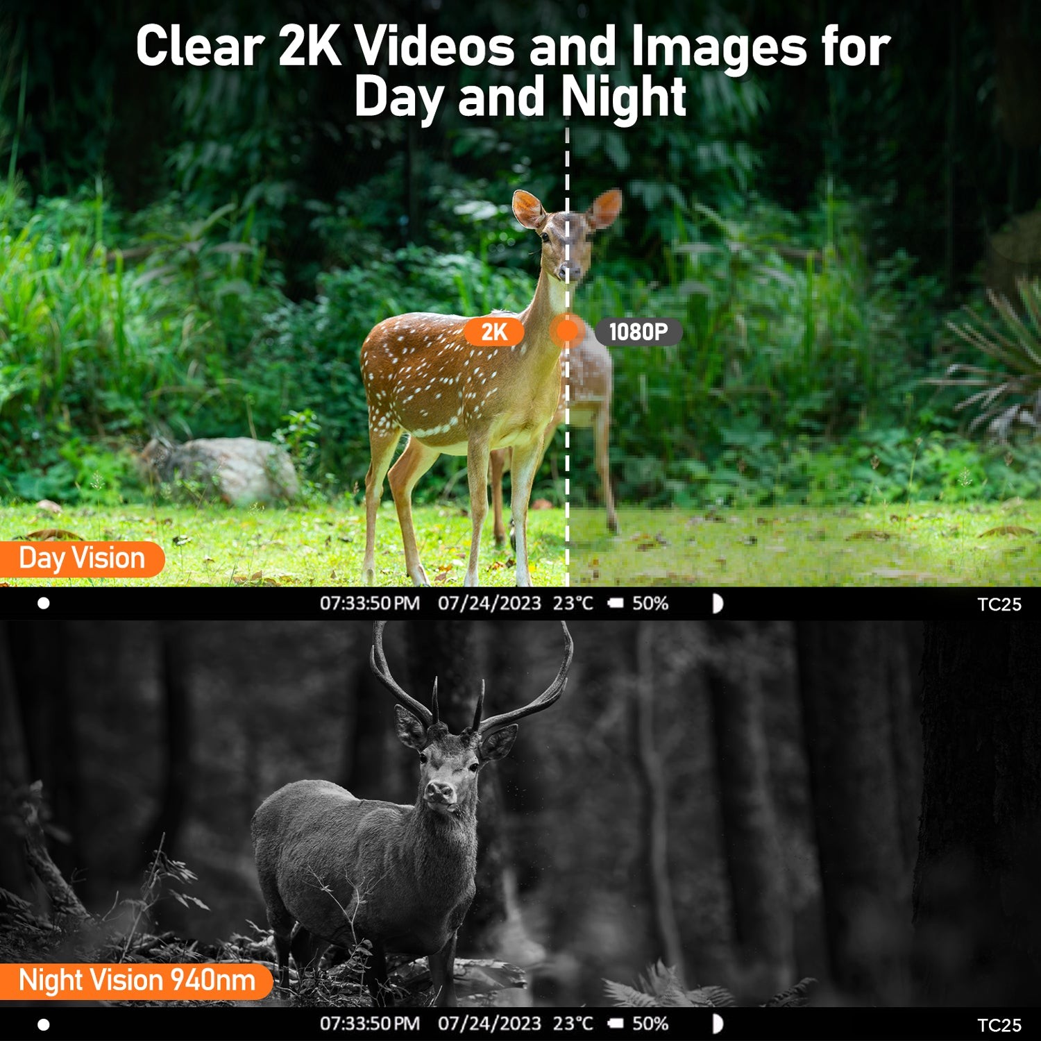 2Pack Solar Cellular Trail Camera with 2.5K Live Streaming 4G LTE Game Cam SIM