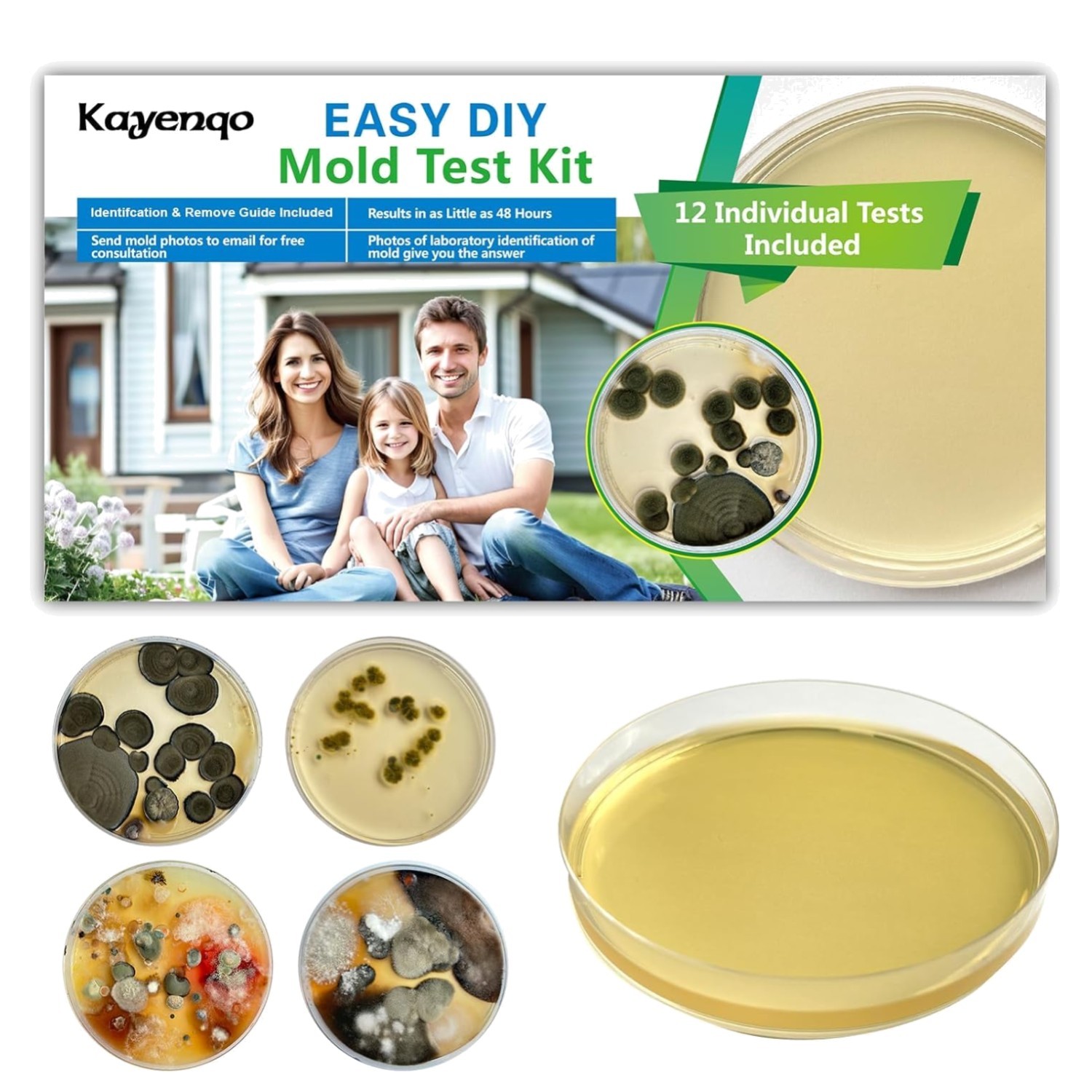 Indoor Mold Detector Kit - 12 Tests, Detailed Guide Included