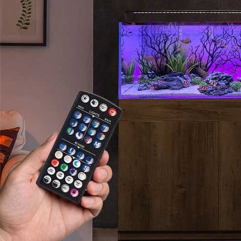 Serene Controller w/ Battery Backup & Remote (1691) - Current USA