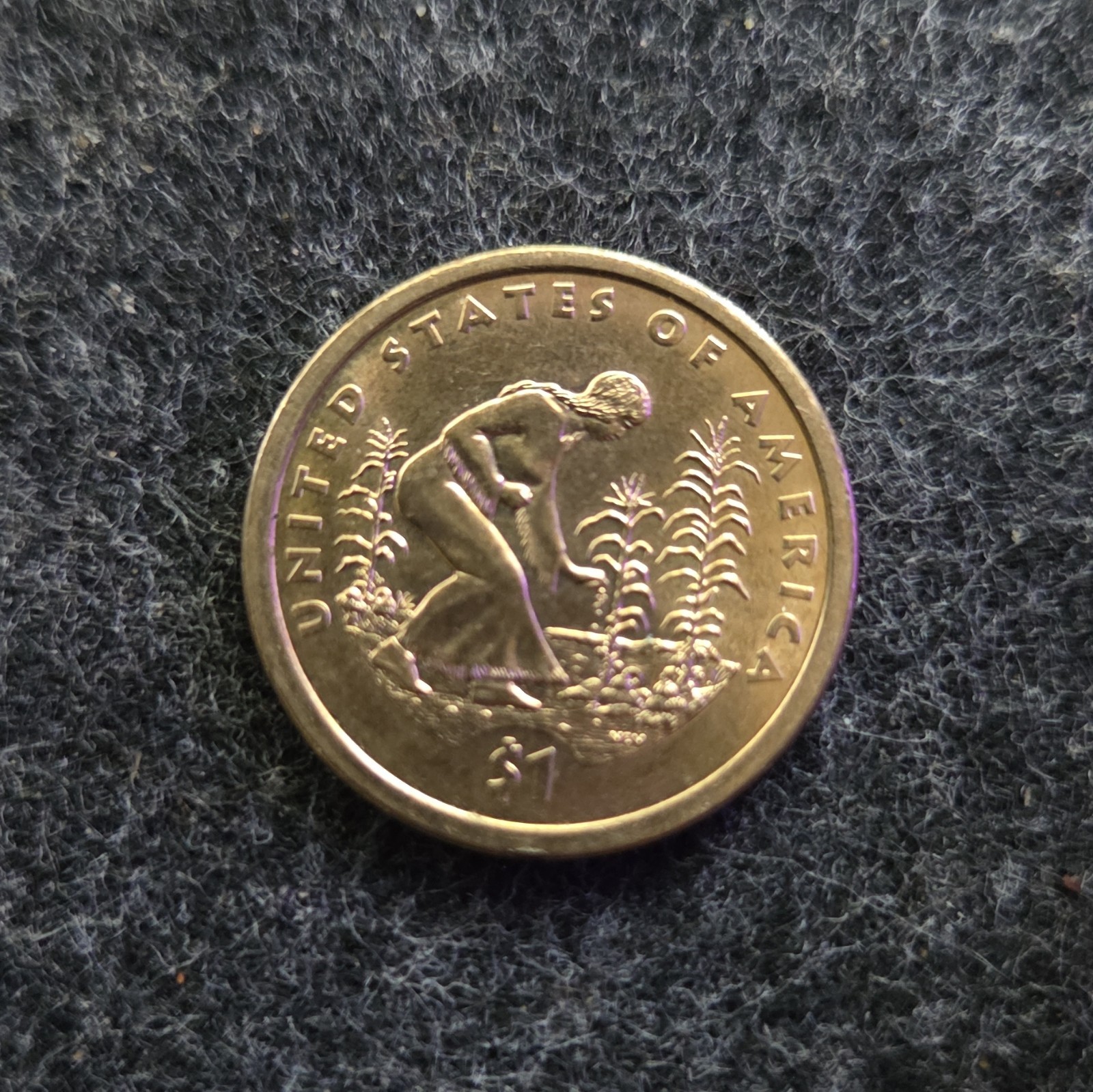 2017 Native American (Sacagawea) $1 Dollar Coin Native American Reverse