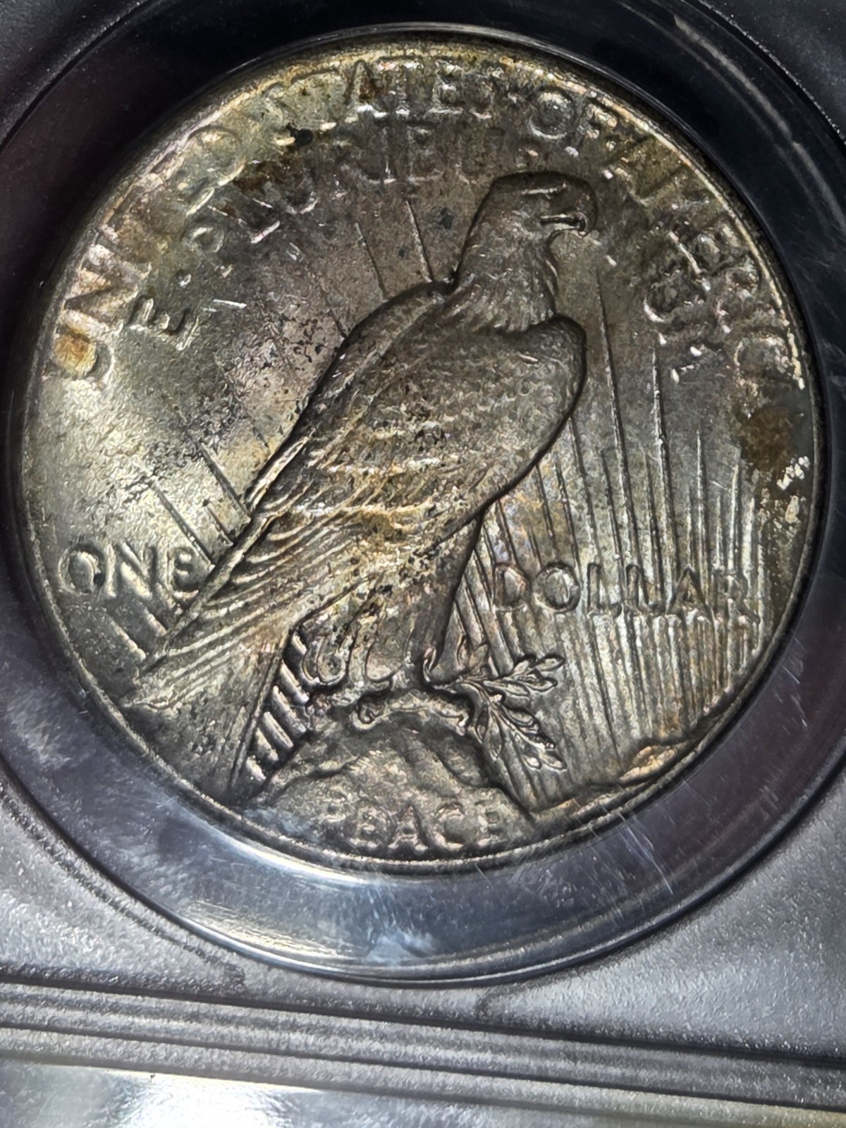 1925 $1 Peace Dollar ANACS MS63 Toned