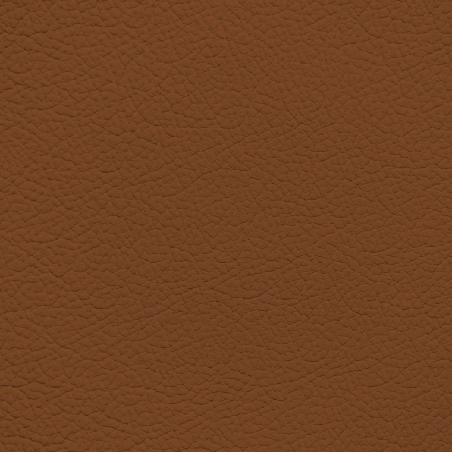 GM Saddle Up Leather Dye