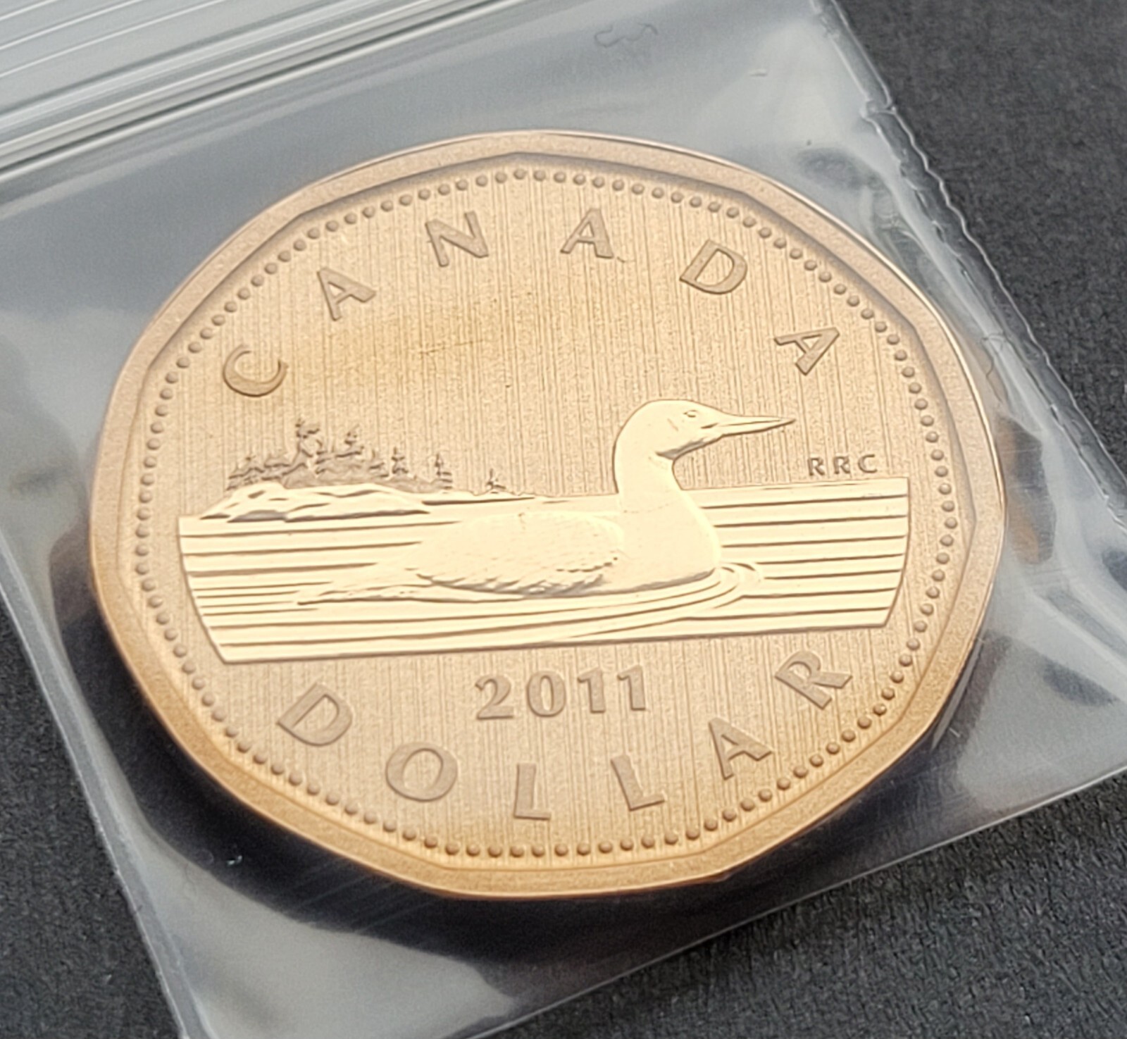 ***  CANADA   LOONIE   2011  ***   SPECIMEN  *** LOW  MINTAGE ***