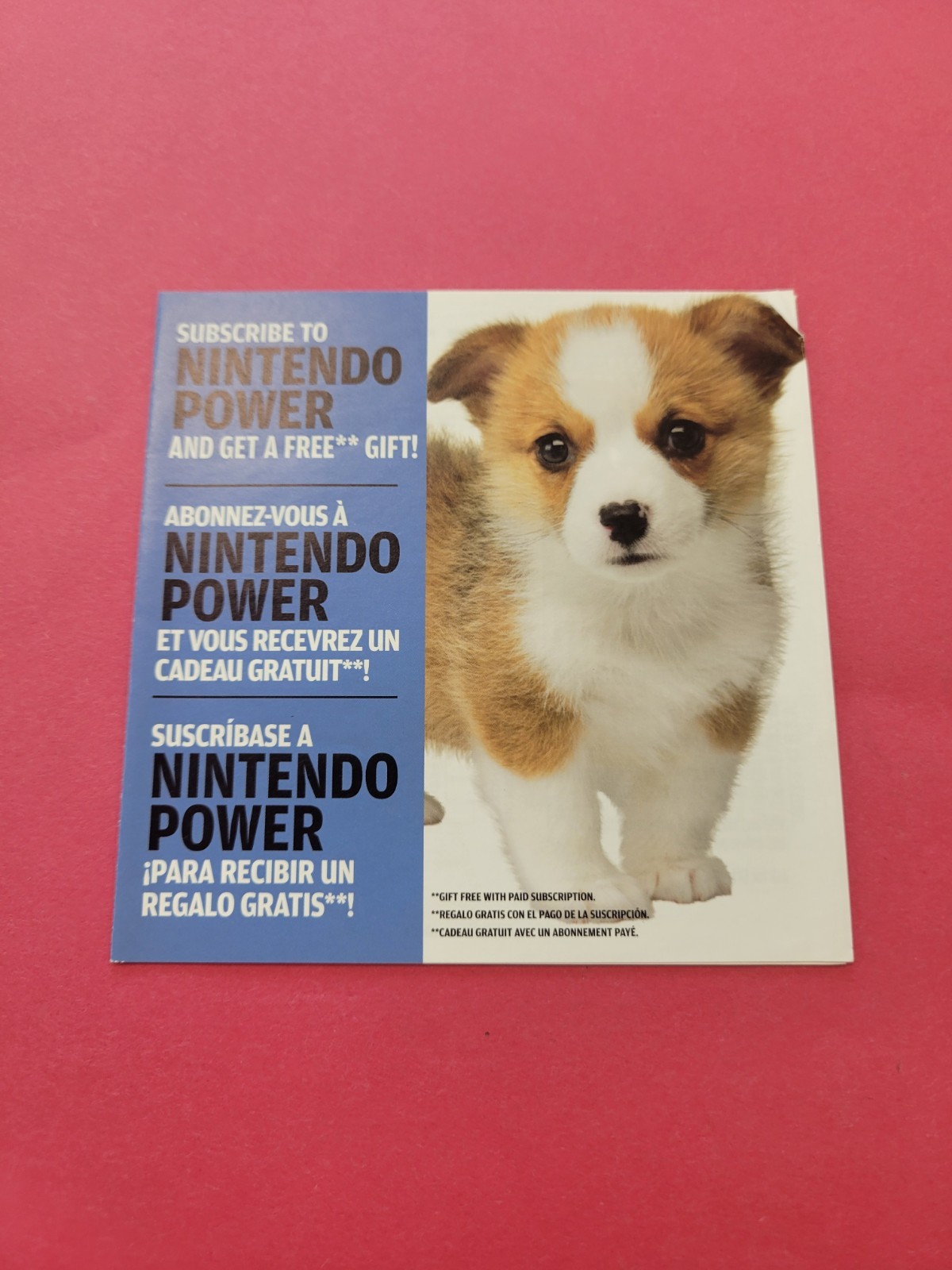 Nintendogs - Nintendo DS - Nintendo Power Insert Only