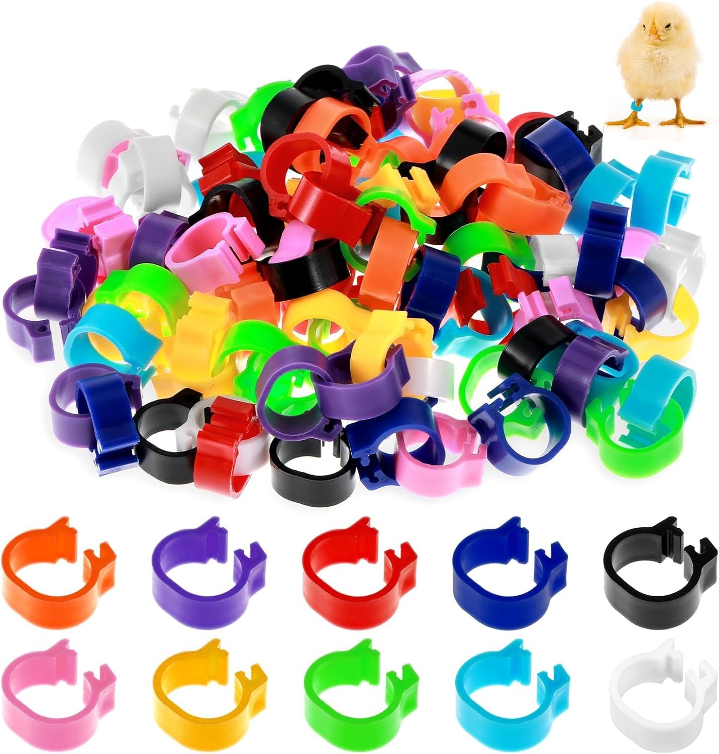 100Pcs 10mm Baby Poultry Leg Bands with 10 Colors Chicken Quail Bird Identifi...