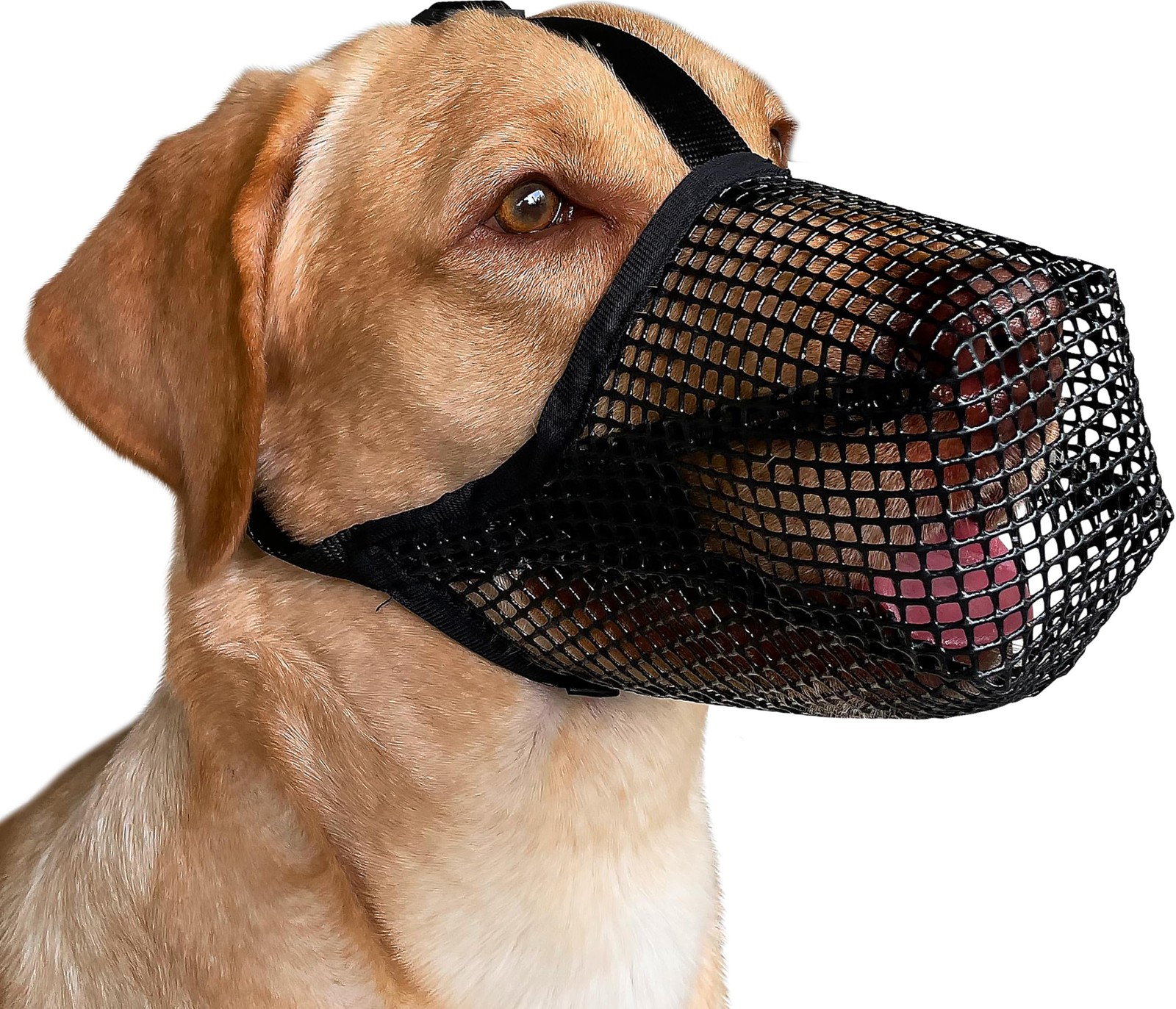 Mayerzon Dog Muzzle, Patented Mesh Muzzles for XS+: Snout:7½"-8¼", Black