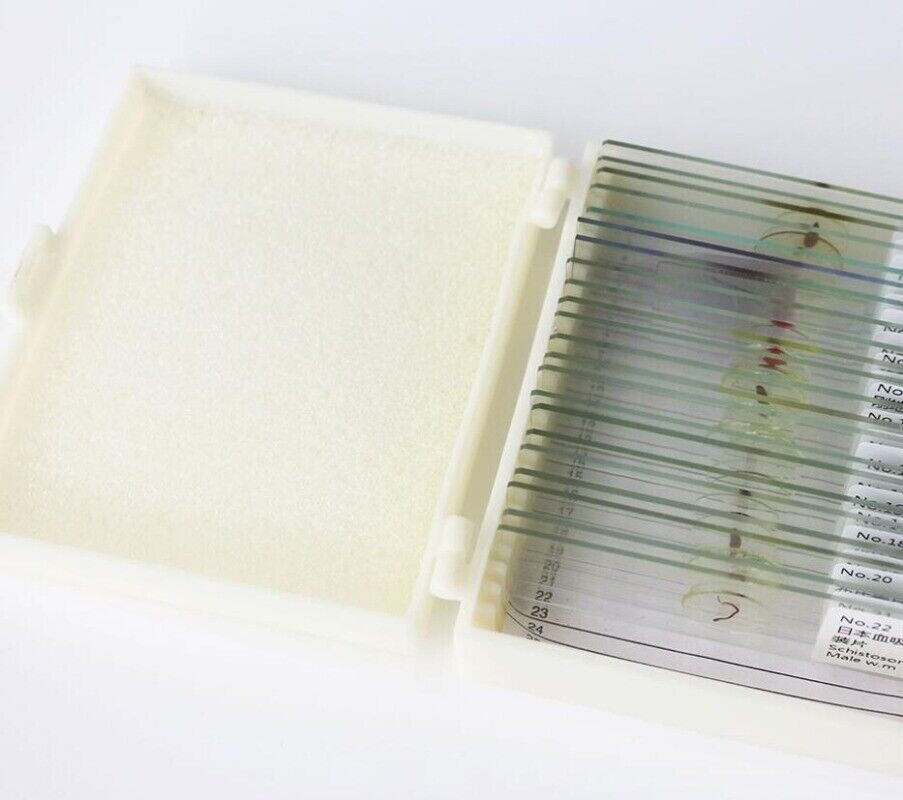 25pcs Parasites Microscope Specimen Slides for Parasitology Teaching Research