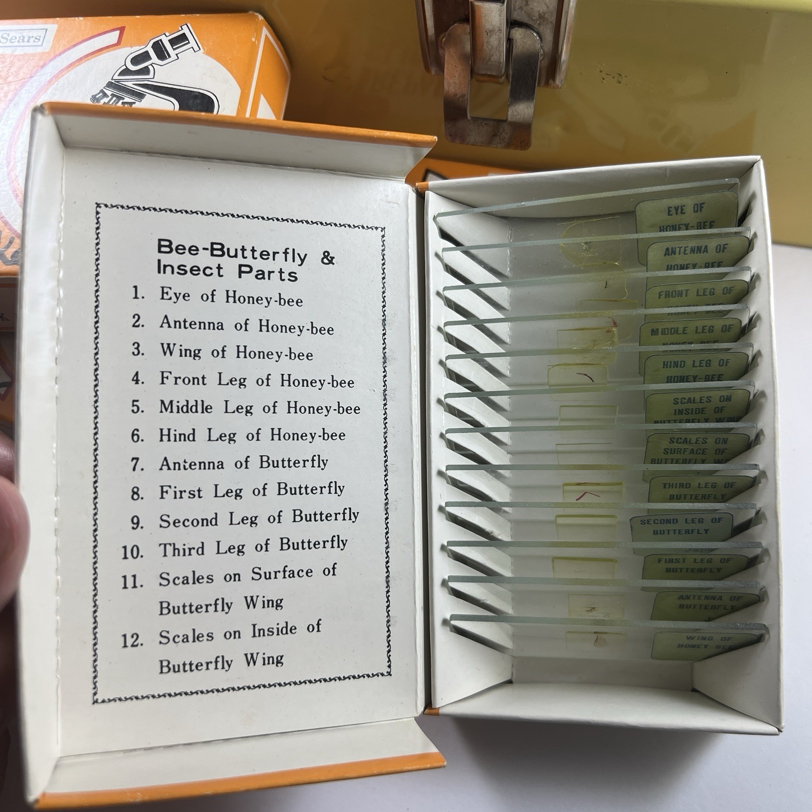 1970s Sears Microscope Prepared Slides & Gilbert Microcraft Cabinet Case Lot