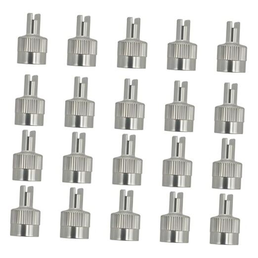 Tire Valve Stem Caps, Nickel-Plated Metal Tyre Dust Caps with Valve Core 20 PCS