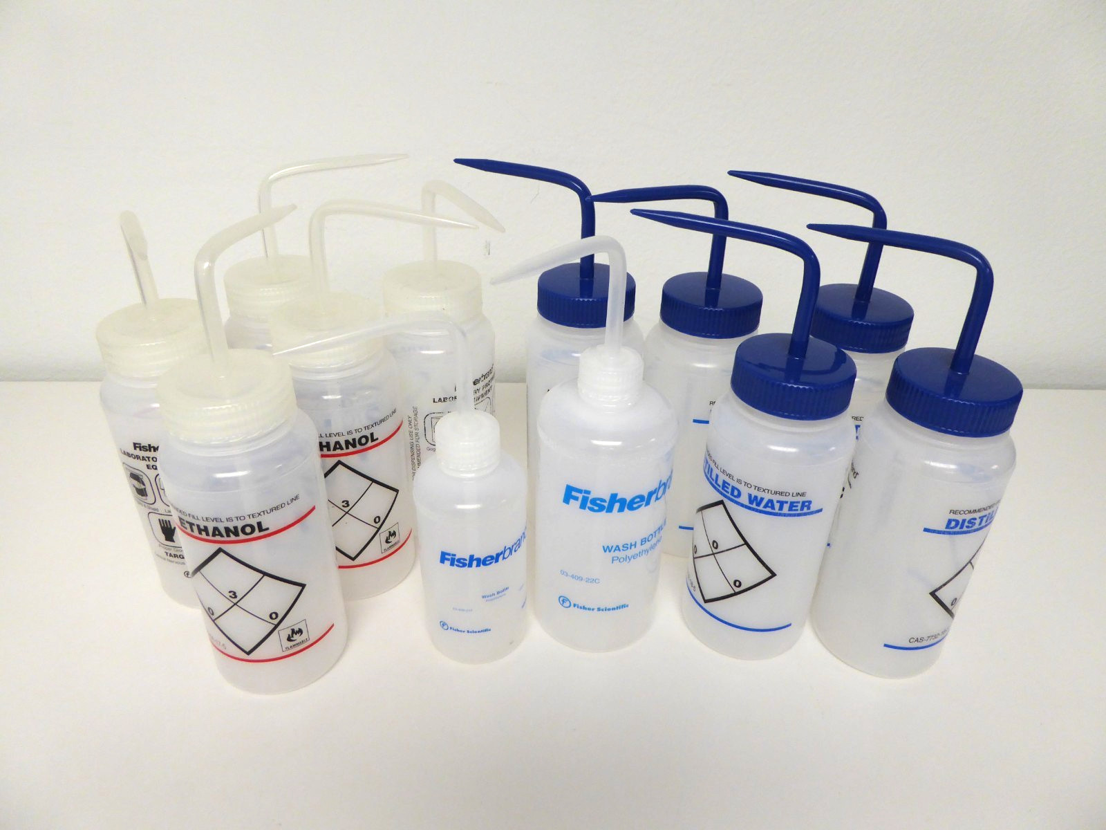 Lot of 12 FisherBrand Wash Bottles