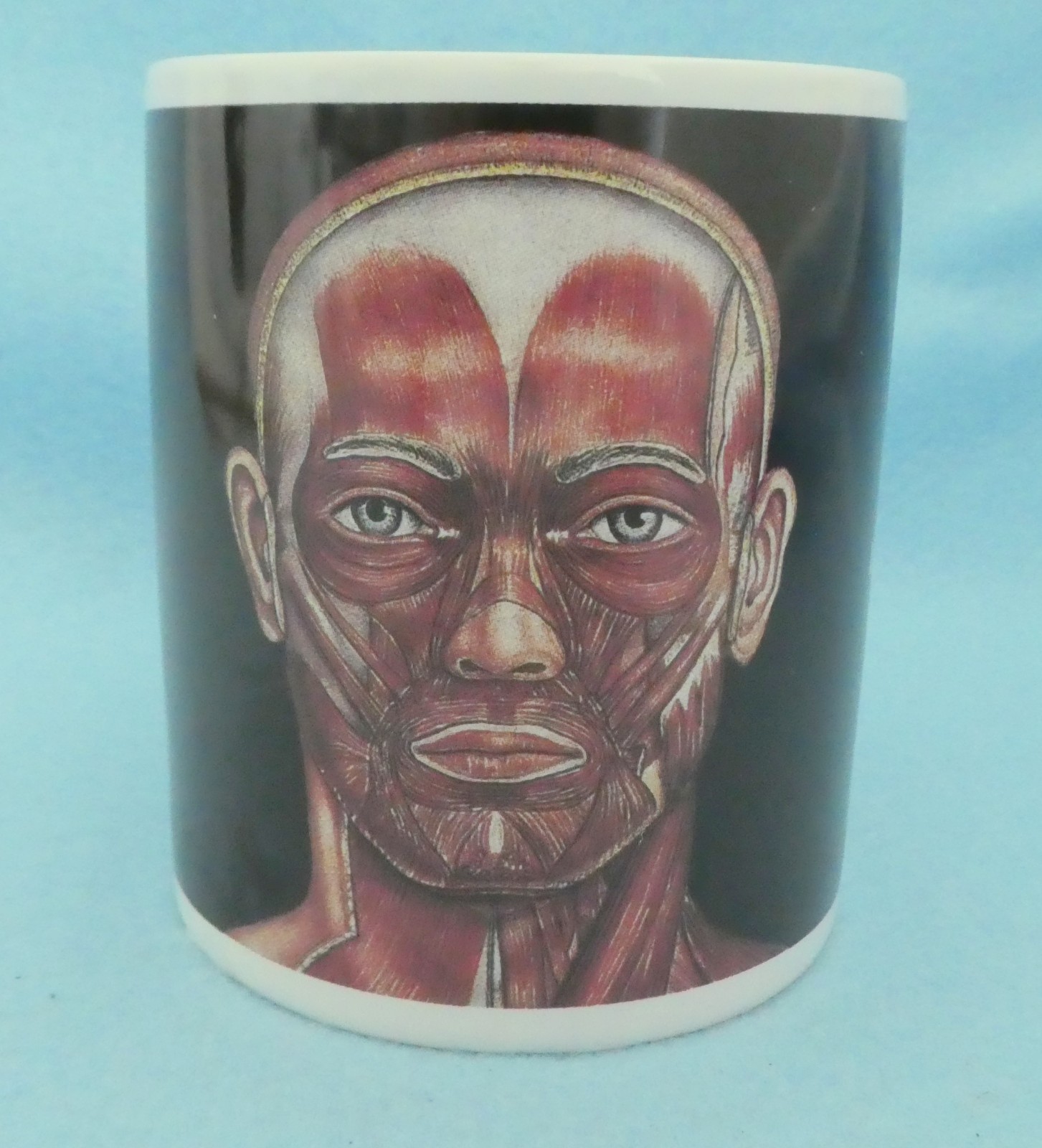 Anatomical Chart Company MUG Unused Coffee Tea