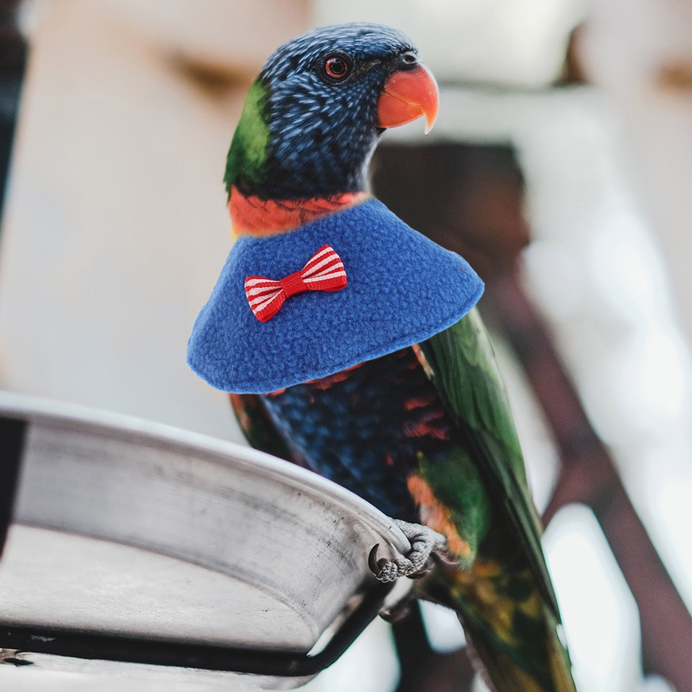 2Pcs Reusable Elizabethan Collars for Parrots Bird Postoperative Neck Cone
