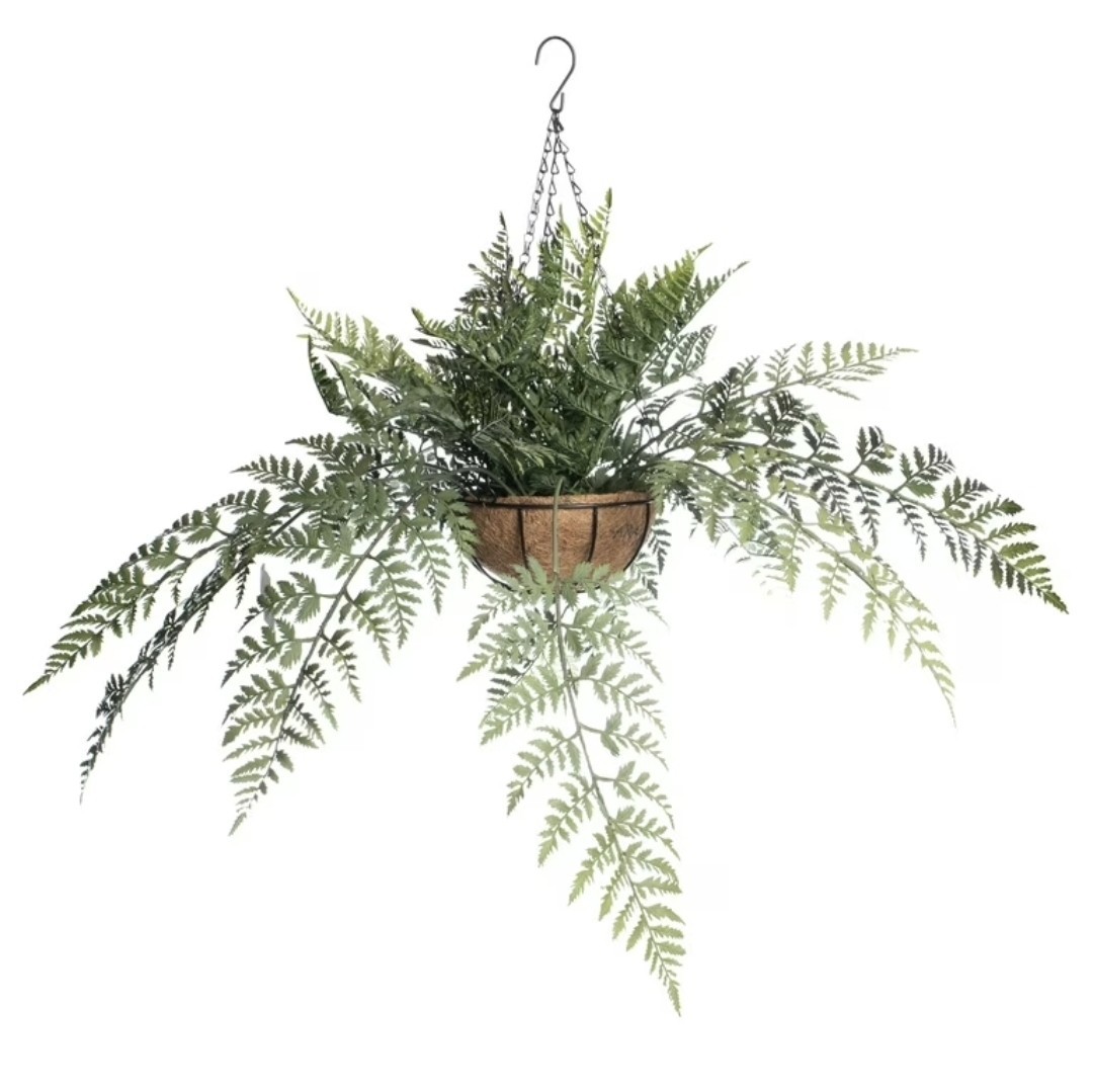 *Case Of 4*  2ft. Lace Fern Hanging Baskets by Ashland Spring Home Decor