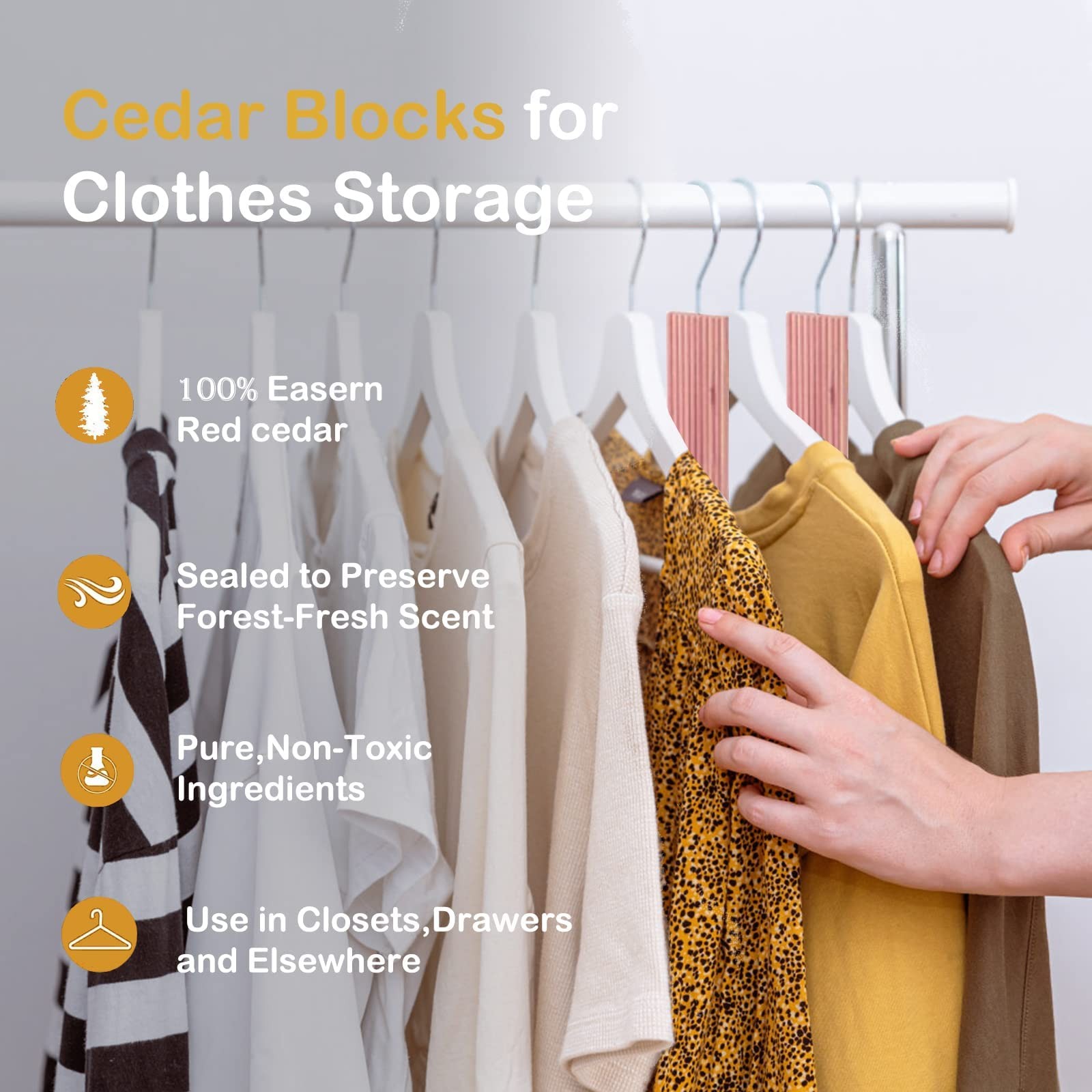 20 PCS Cedar Hang Up 100% Natural Rectangular Block Clothes Storage