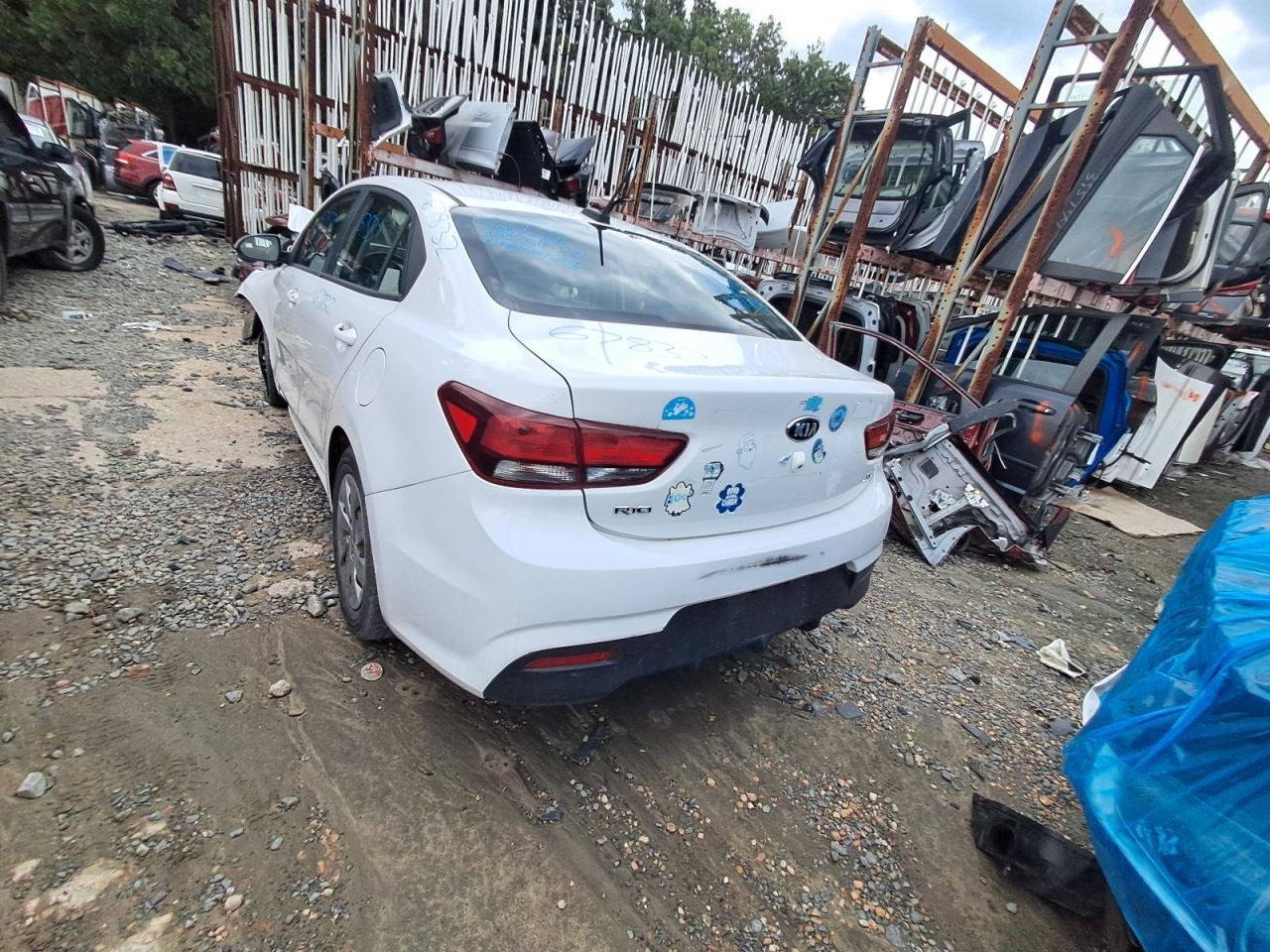 RIO 2019 Transmission Shift 3010383