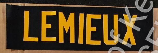Pittsburgh Penguins UNSEWN Nameplate Namebar for your Jersey - Any Season Name