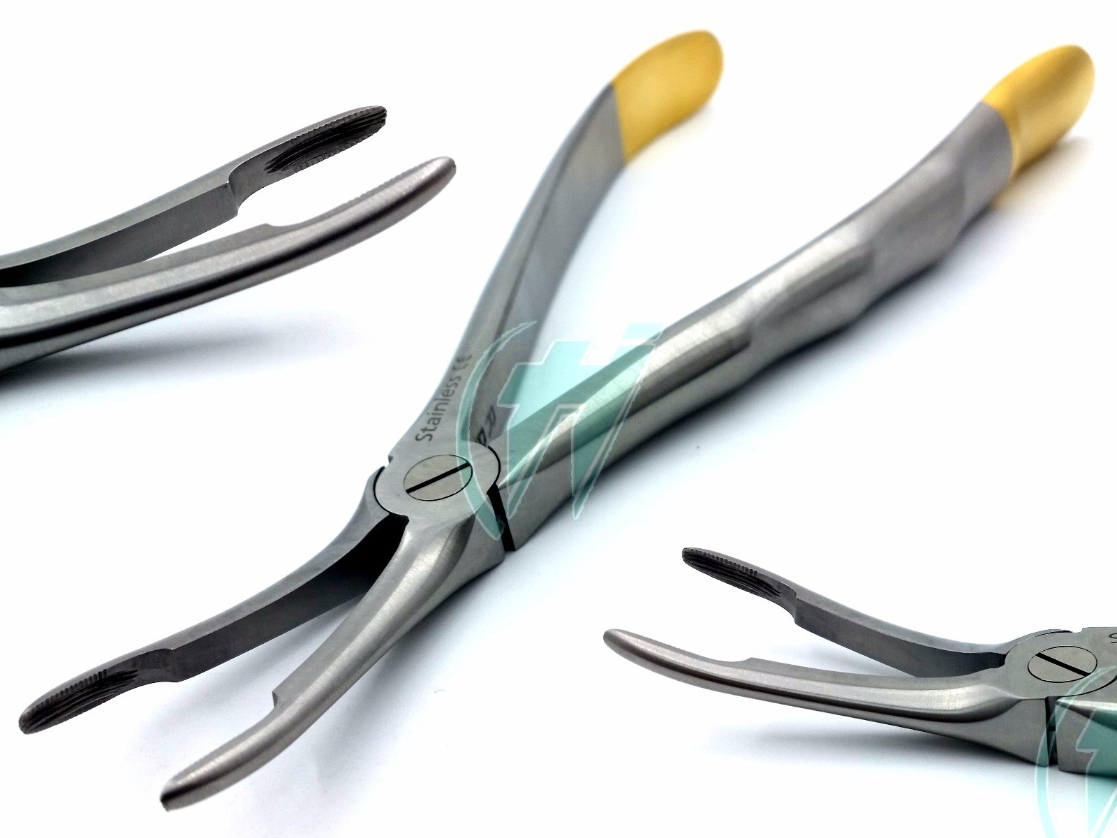 German Stainless Root Tip Dental Extracting Extraction Forceps Curved #44