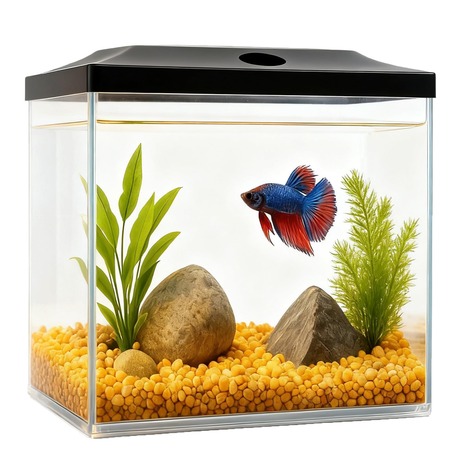 SW PRODUCTS 0.8-Gallon Cube Small Fish Tank, Shatterproof Plastic Clear