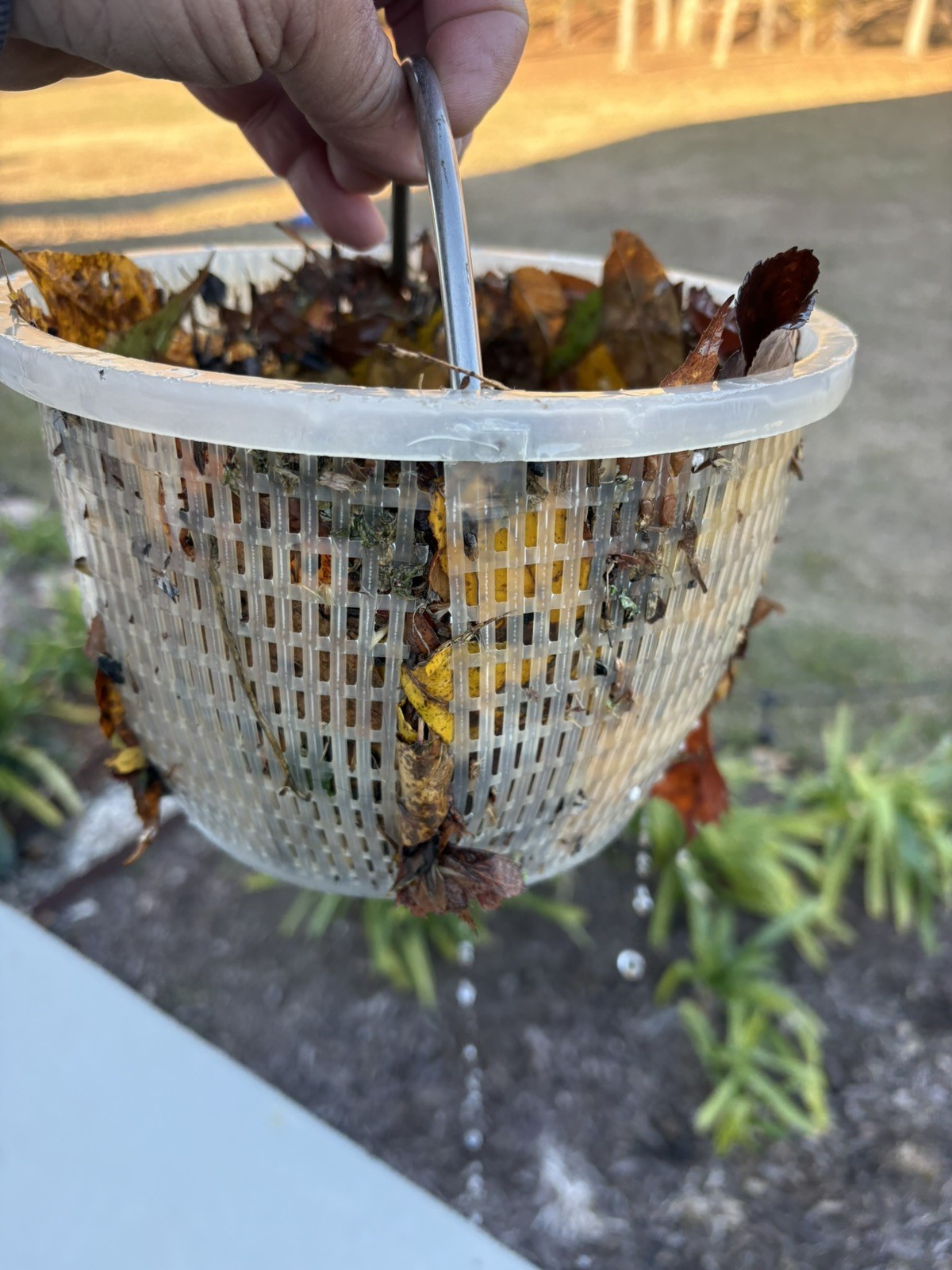 Extremely Heavy Duty!! Stainless Steel Pool Skimmer Basket