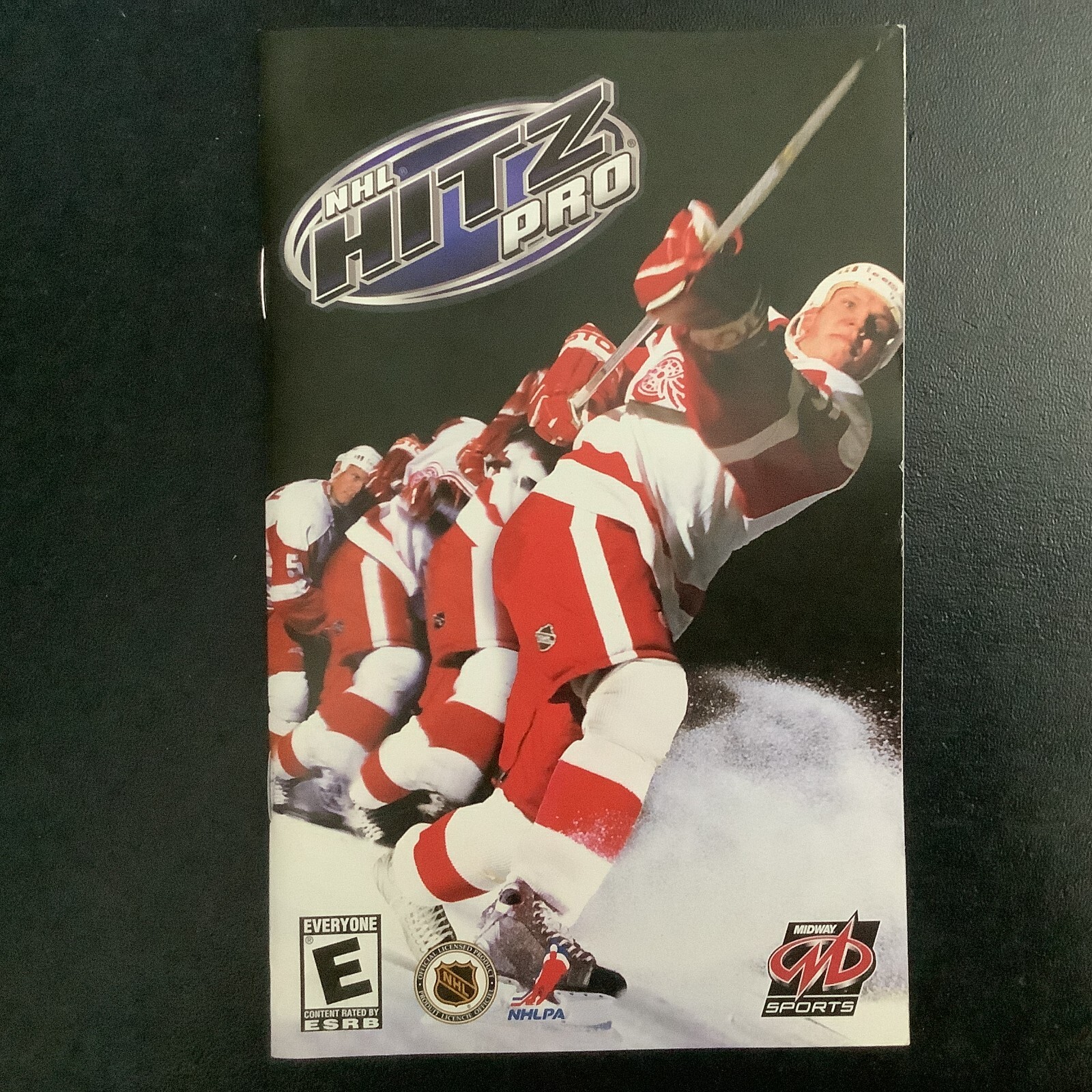 NHL Hitz Pro PS2 PlayStation 2 Instruction Manual Only