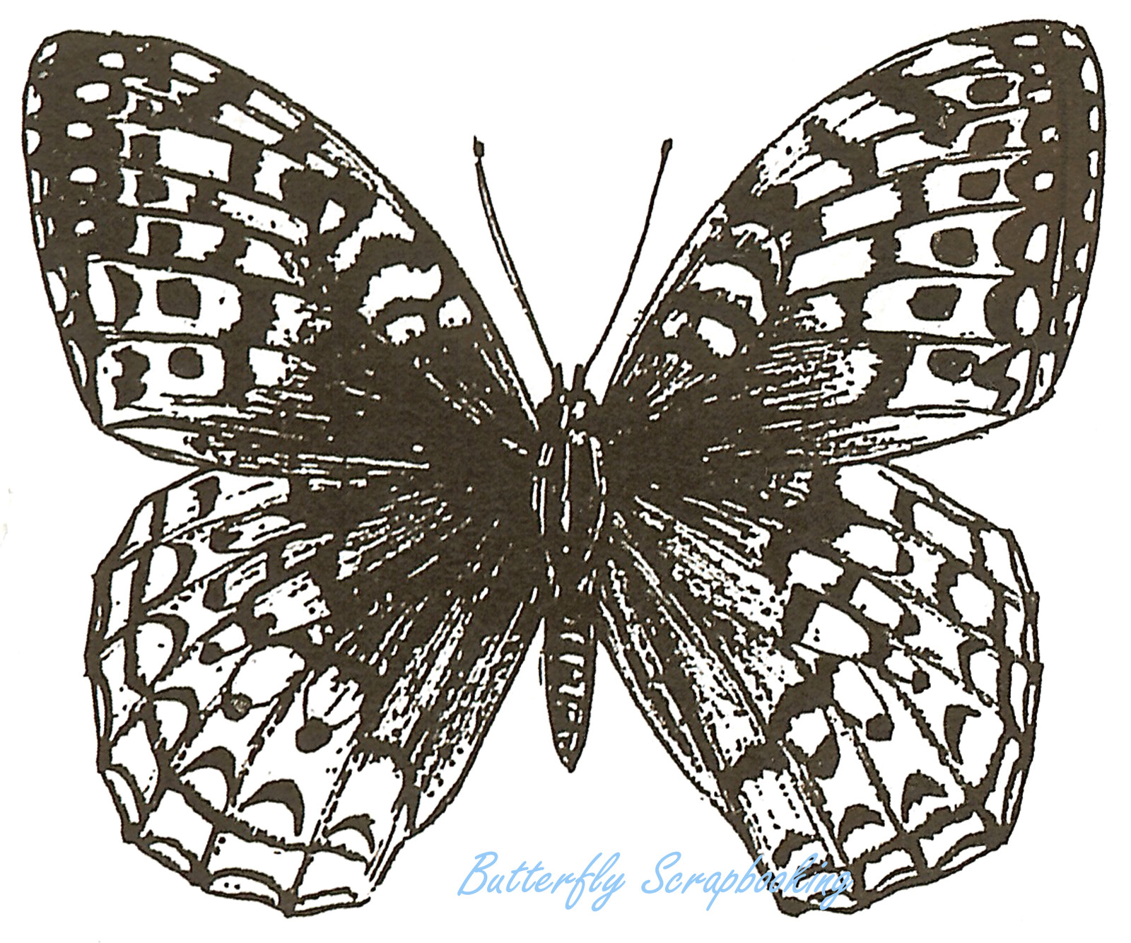 Great Spangled Butterfly Wood Mounted Rubber Stamp Northwoods Stamp CC7284 New
