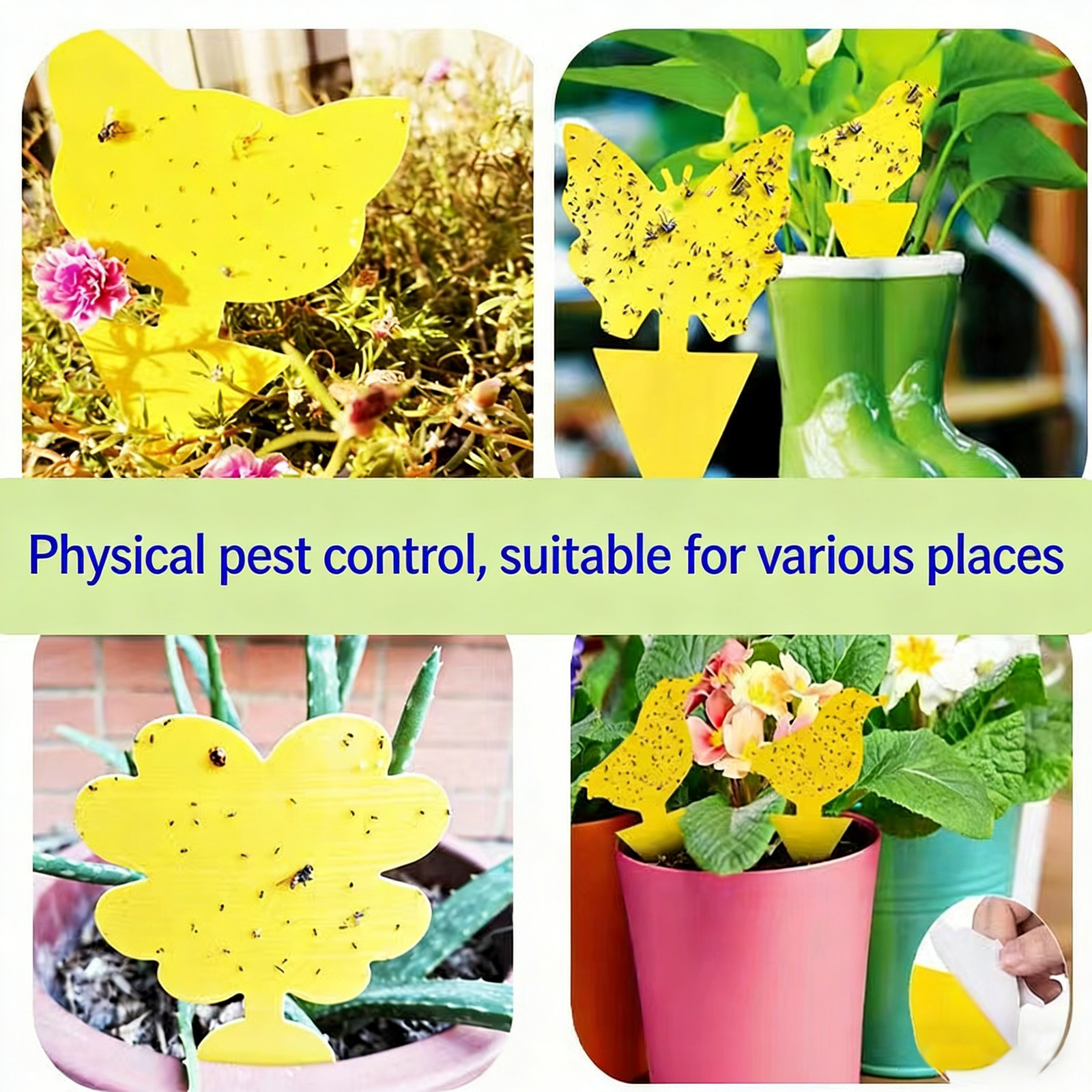 50X Sticky Fruit Fly Traps, Fungus Gnat Killer Trap Use for Indoor Outdoor