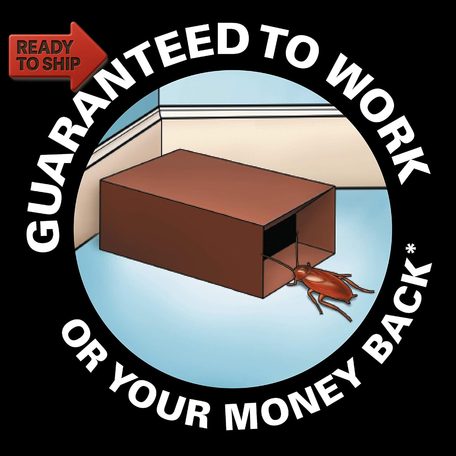 Black Flag 11020 511086 Roach Motel Insect Trap, 2 Count