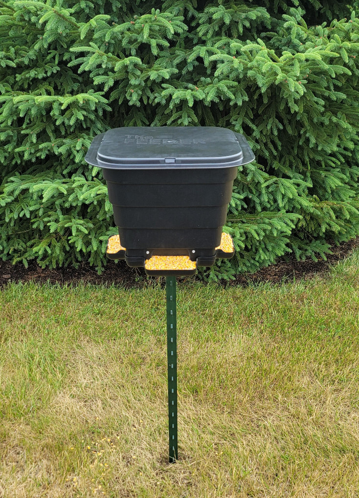 Deer feeder
