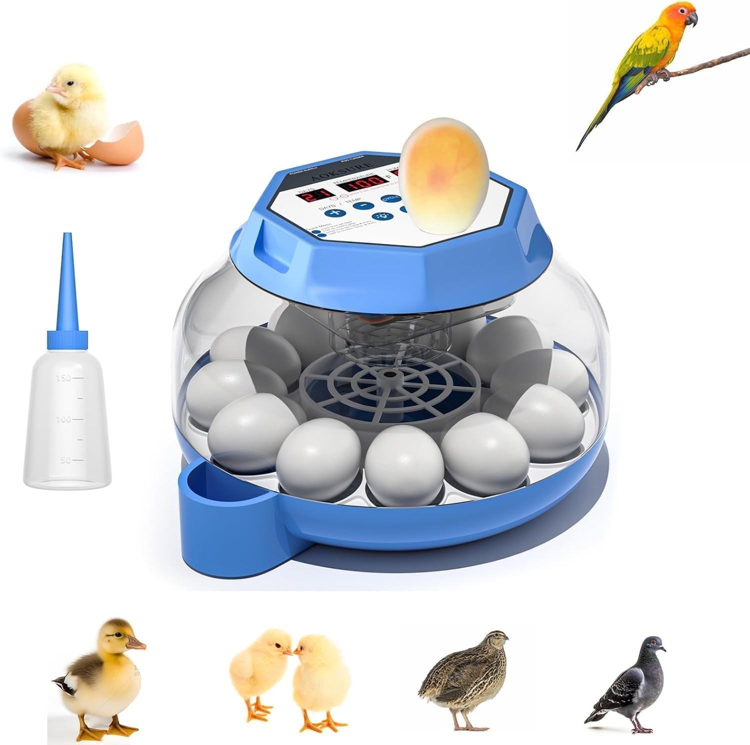 Automatica Incubadora De 12-24 Huevos Encubadora Gallina Pato Egg Incubator USA
