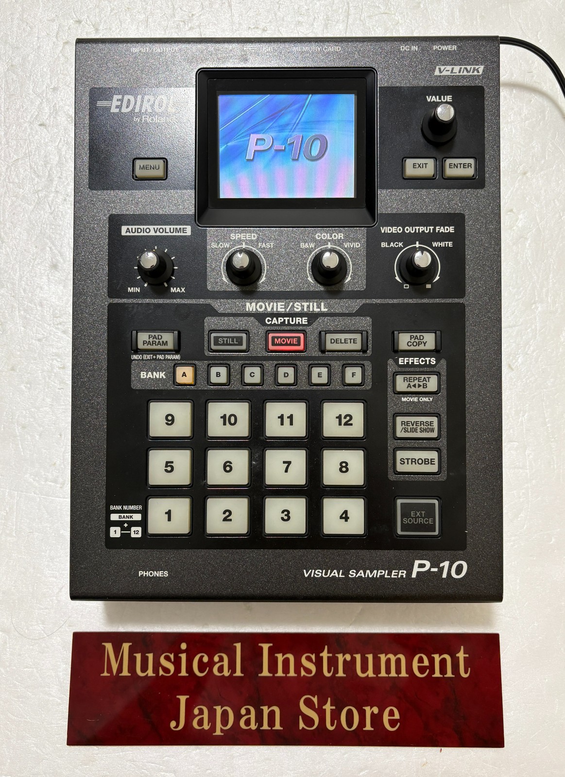 Roland Edirol P-10 Visual Sampler Video Presenter with Power Cable and SD Card