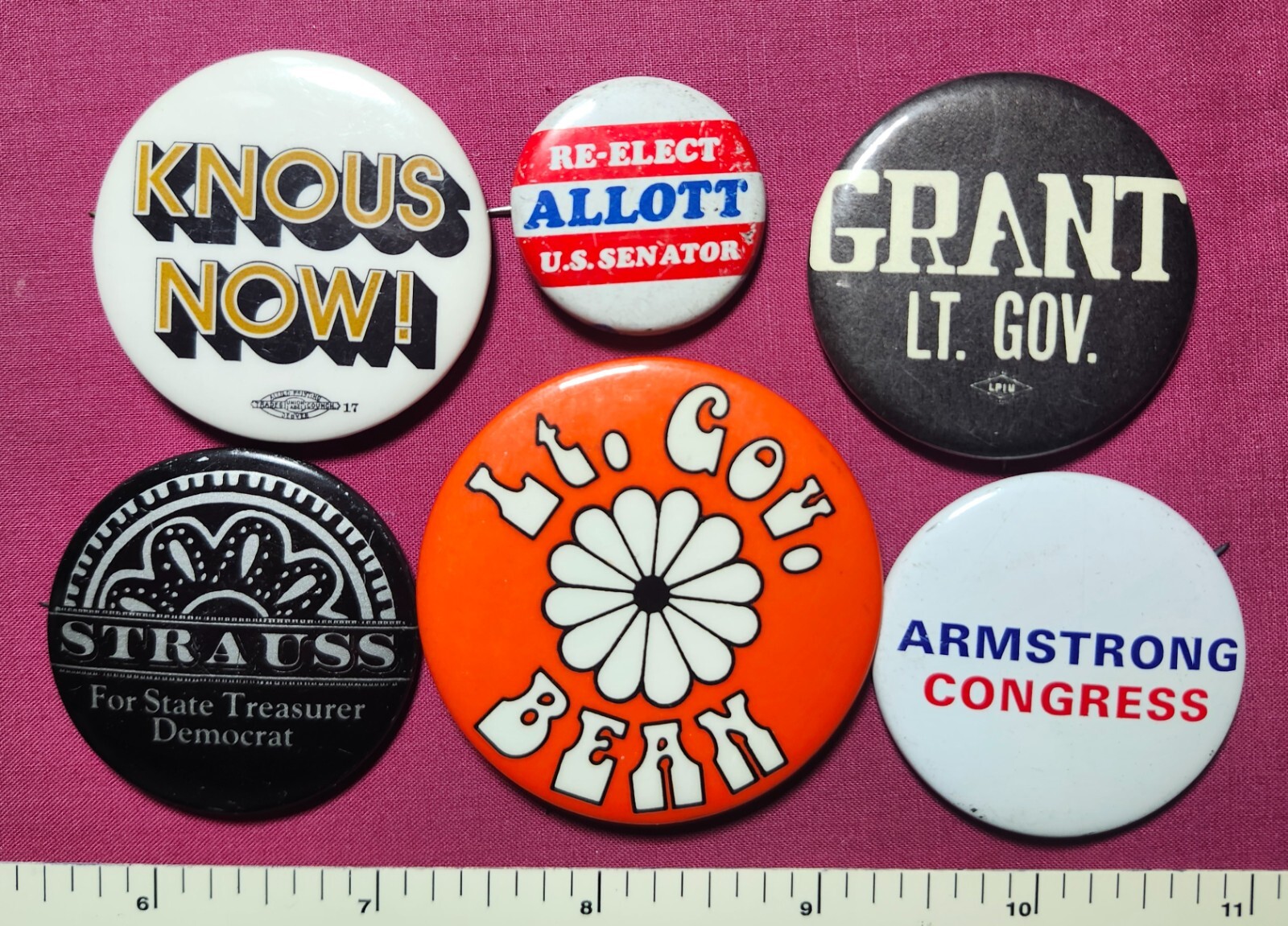 KNOUS ALLOTT GRANT STRAUSS BEAN ARMSTRONG LOCAL COLORADO POLITICAL PINS BUTTONS