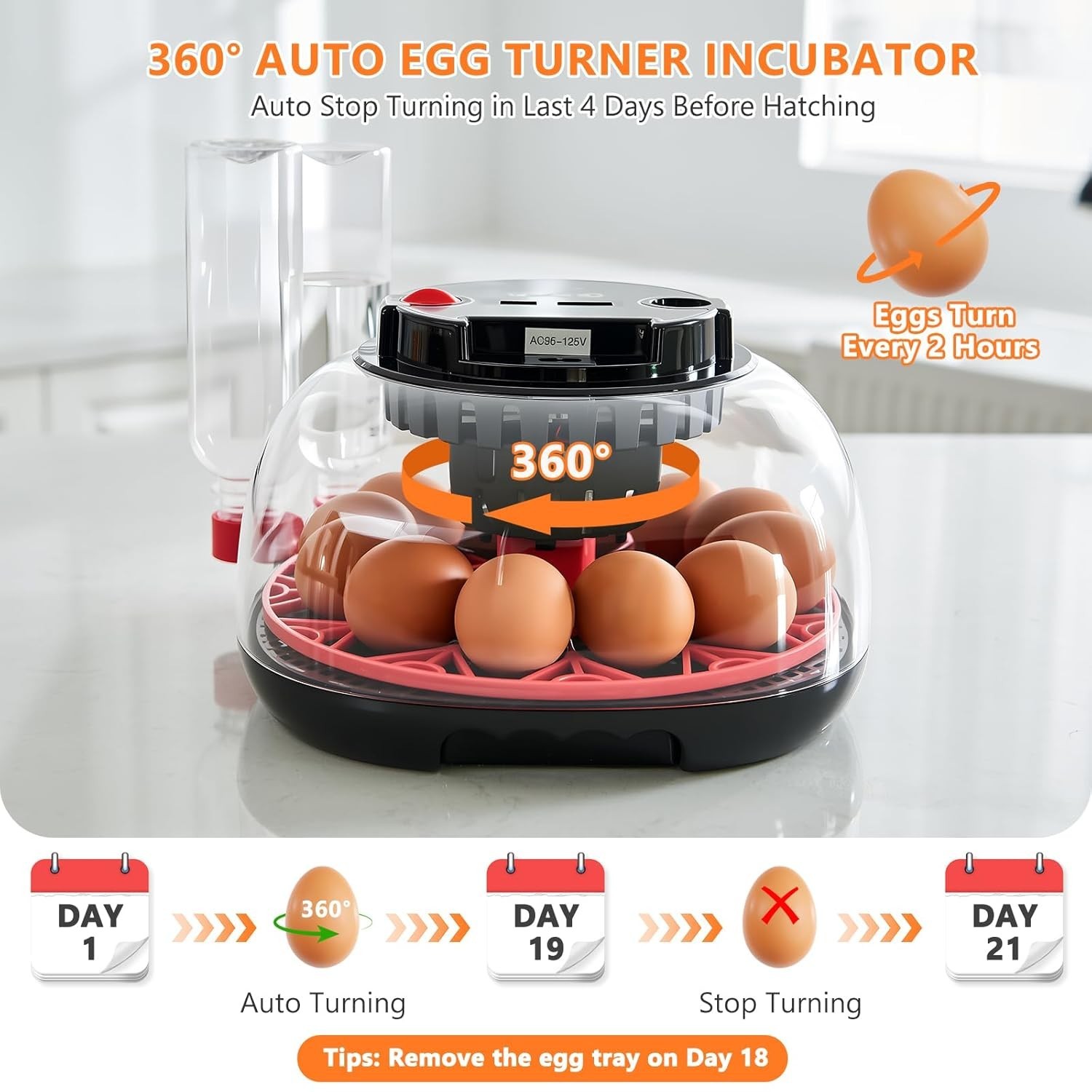 Incubators for Hatching Eggs - 12 Egg Capacity, Egg Incubator with Automatic