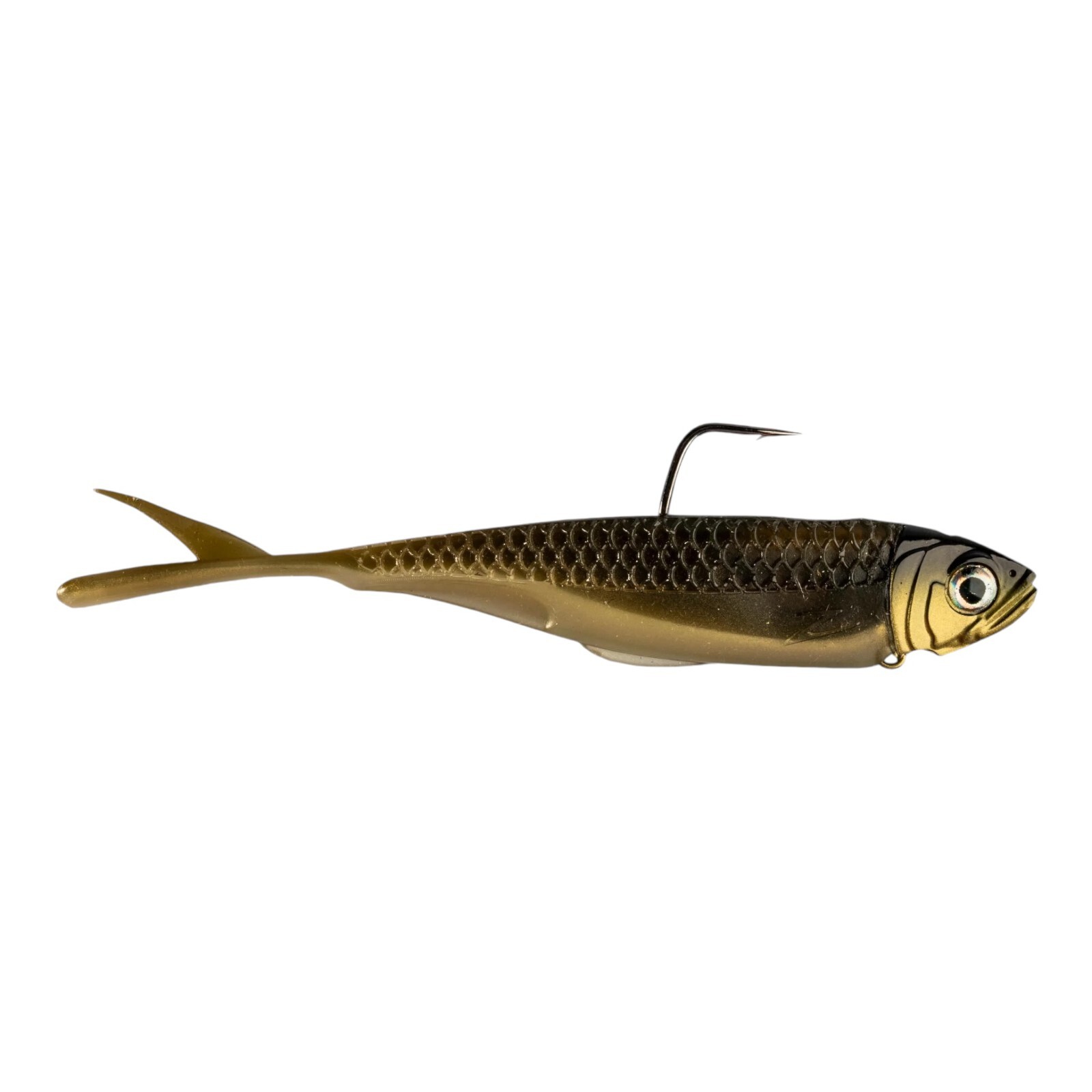 NEW 2024 Z-Man 3.8" Graph ShadZ - Choose Size / Color