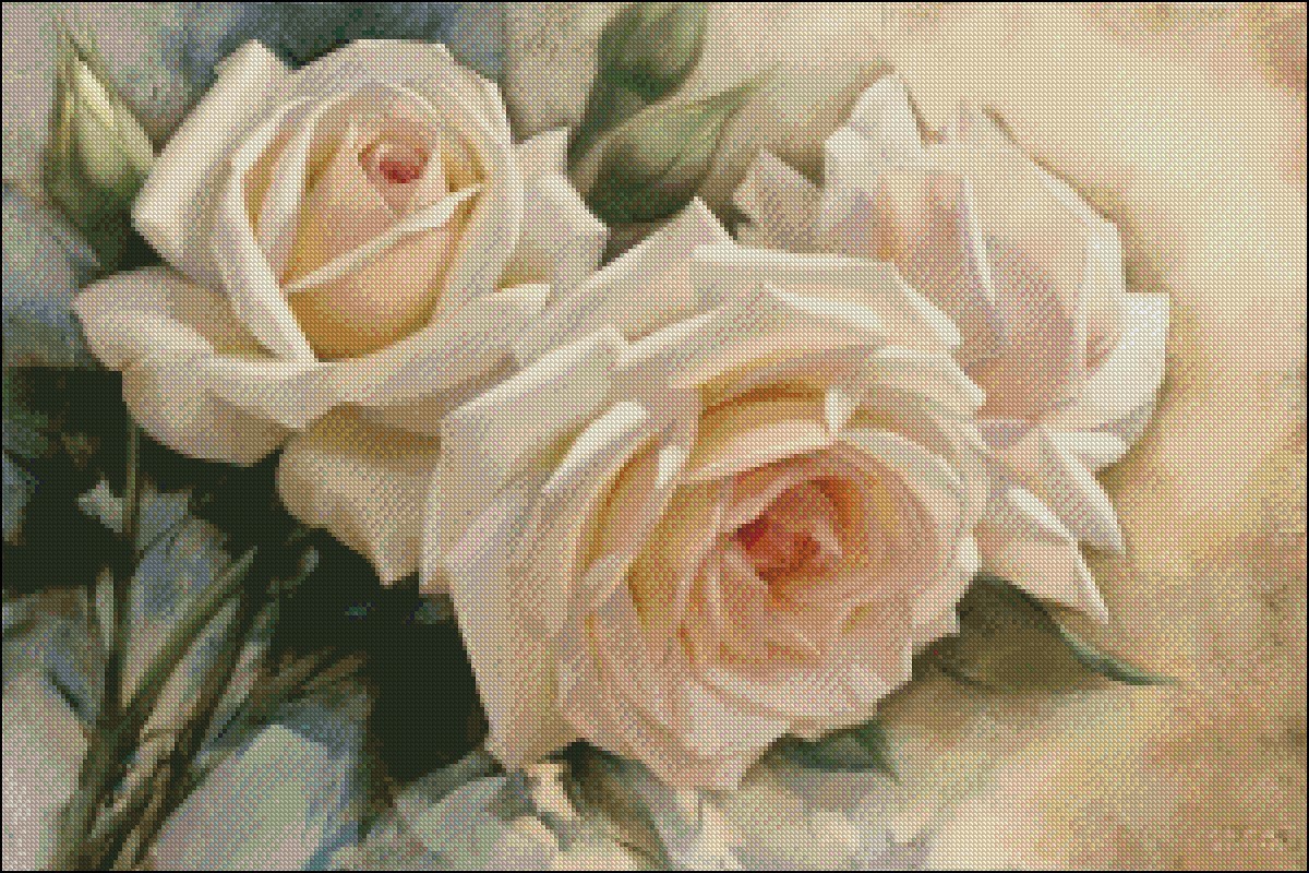 White Roses II - Chart Counted Cross Stitch Patterns Needlework DIY DMC Color