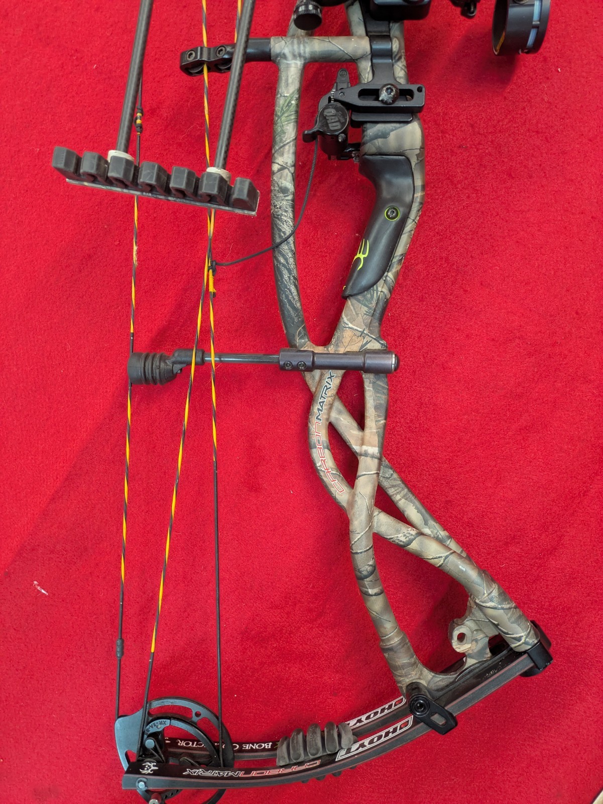 Hoyt Carbon Matrix Compound Bow