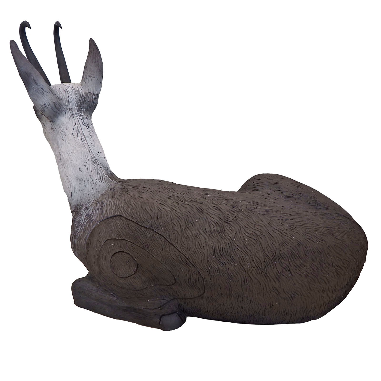 Leitold 3D Animal Chamois Lying Down