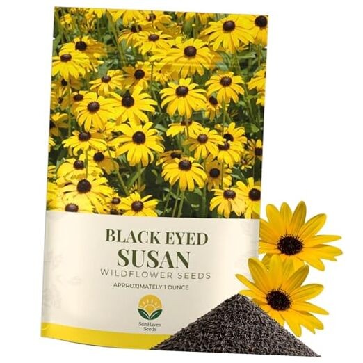 Black Eyed Susan Seeds – 100,000+ Seeds – 1 oz Bulk Extra Large Resealable