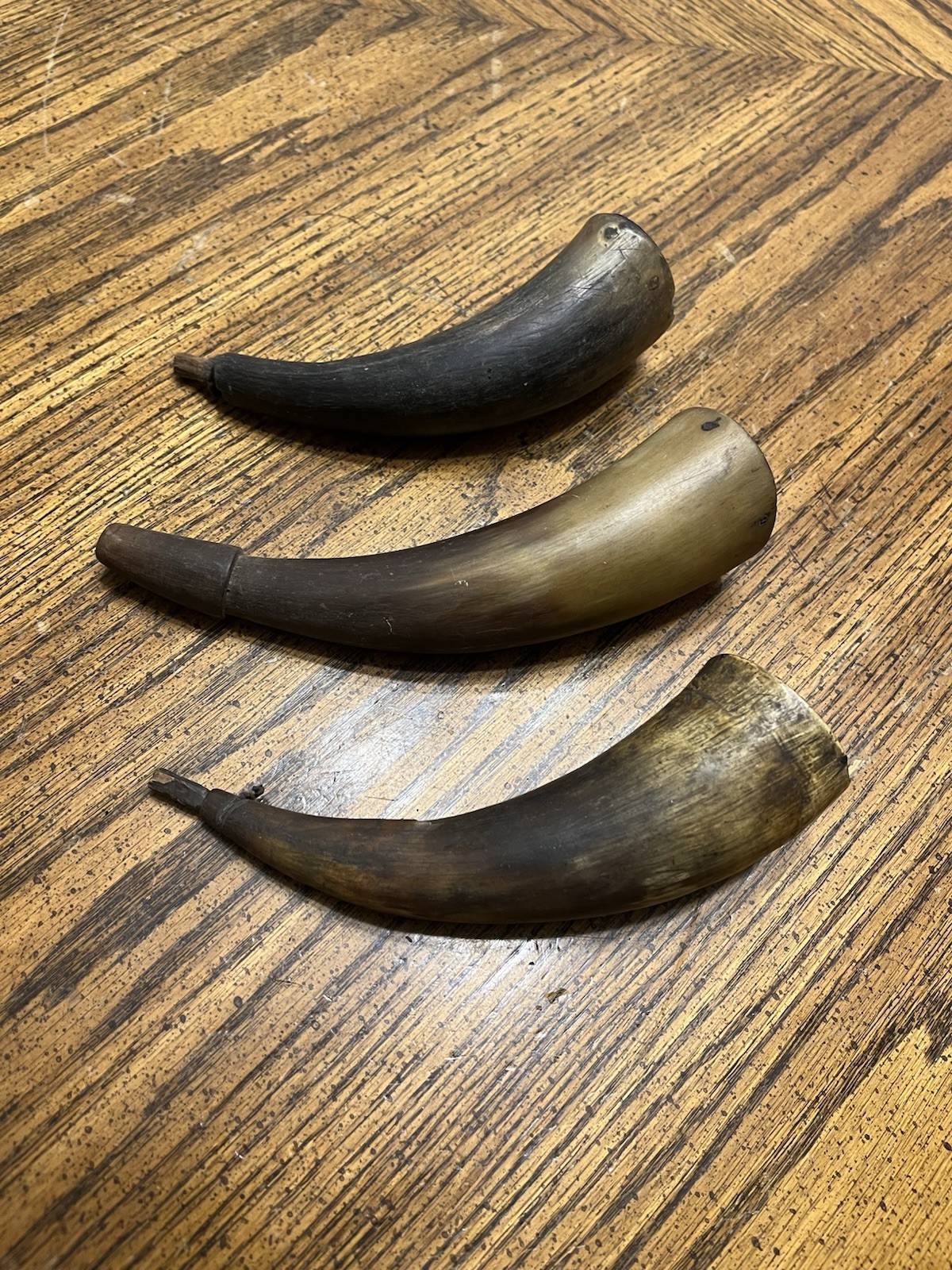 Antique Lot Of 3 19th Century American Hand Carved Powder Horns Small