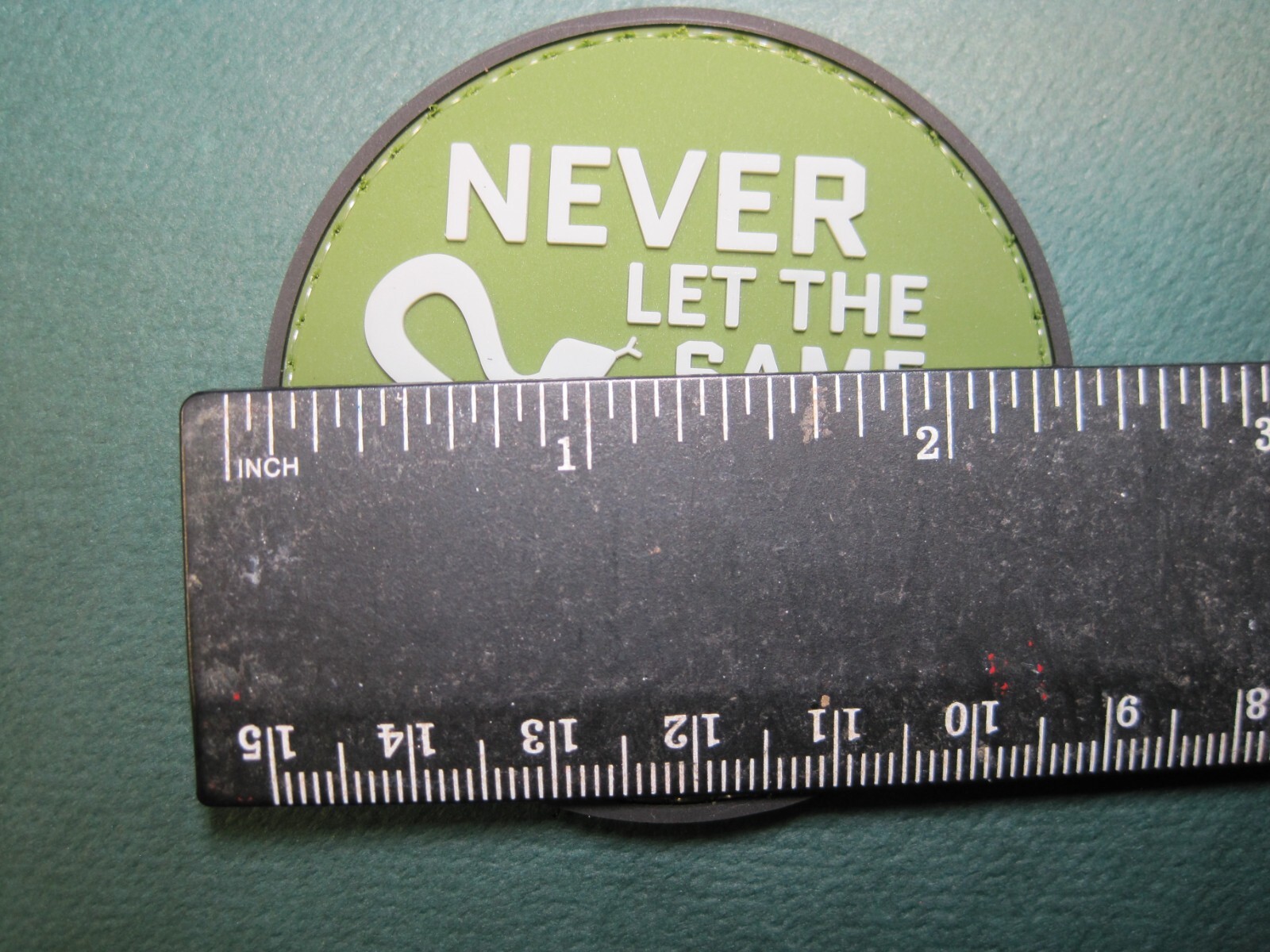 MORALE PATCH "NEVER LET THE SAME SNAKE BITE YOU TWICE" HOOK BACK GREAT DETAIL!