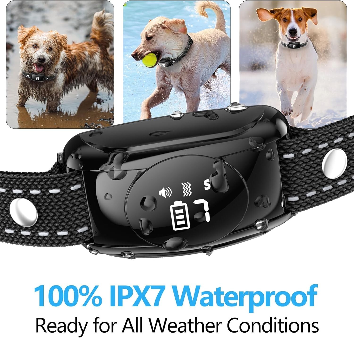 Dog Training Collar with Remote, NO SHOCK Collar Medium & Small Dog