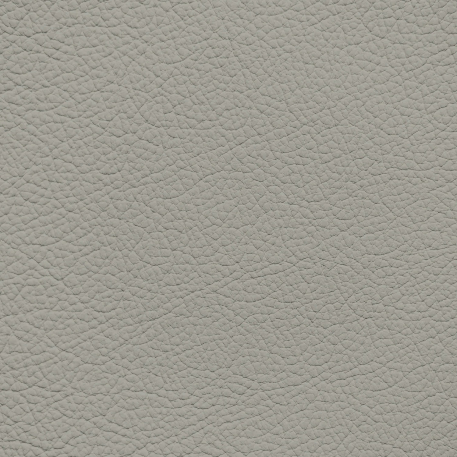 GM Light Platinum Leather Dye