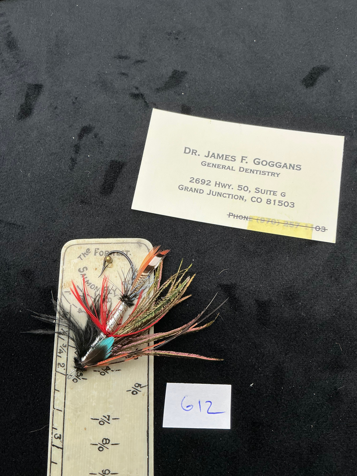 Dr. James Goggans  Salmon Fly G12