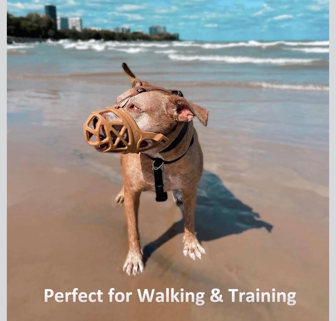 BARKLESS Dog Muzzle, Basket Muzzle for Biting, Chewing and Scavenging, Humane..