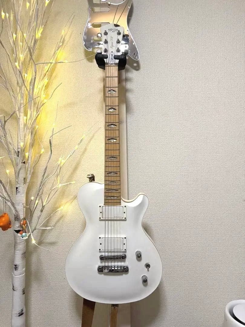 Fujigen Fgn Expert Fl Electric Guitar